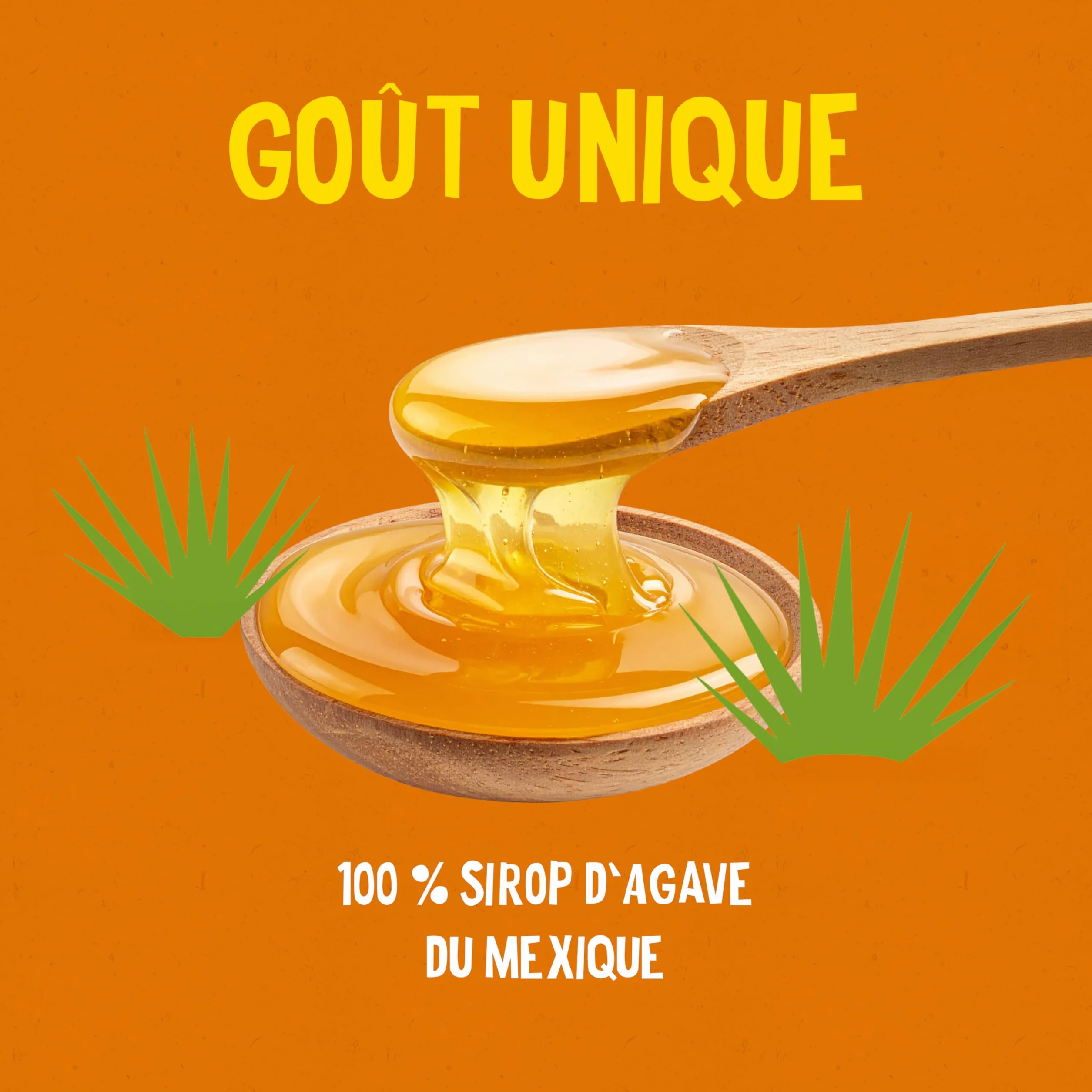 ALTER ECO - Sirop Agave Bio - Sucre d'Origine Naturelle (Fructose) - Non Raffiné - Haut Pouvoir Sucrant - 350 g