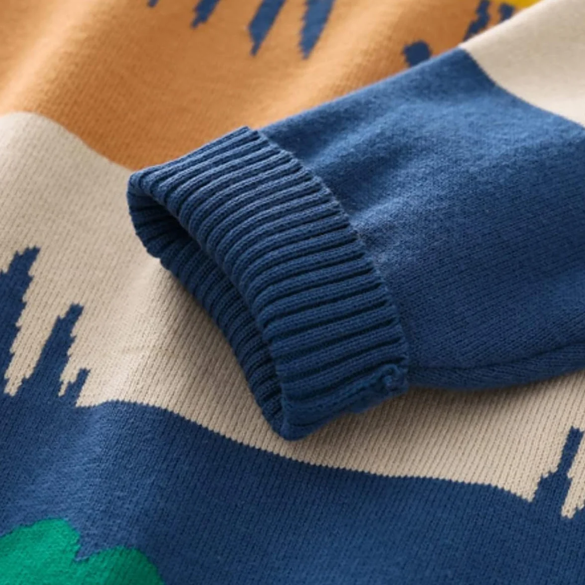 Pull en Tricot Imprimé Animal pour Bébé Garçon Manche Longue Col Rond Chaud Automne Hiver