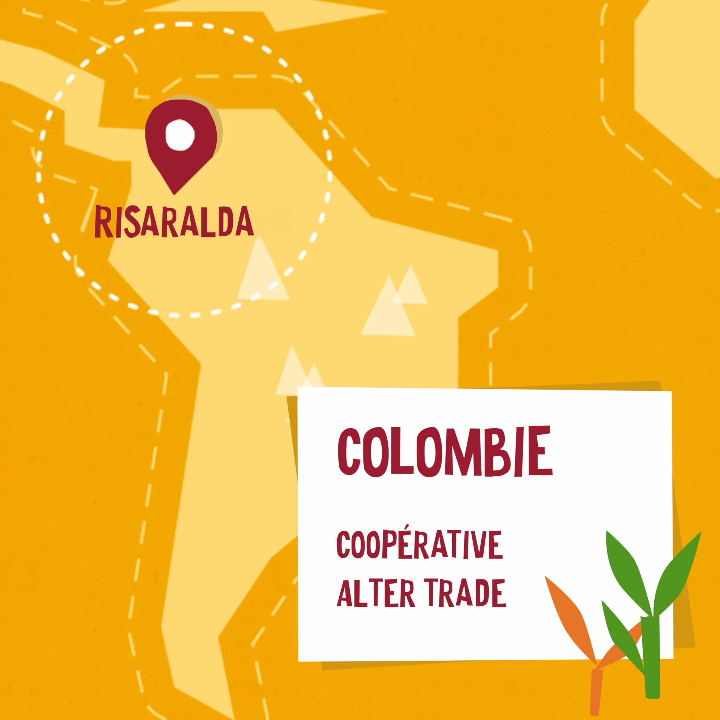 ALTER ECO - Sucre de Canne de Colombie - Sucre Complet Bio et Équitable - Origine Colombie - 400 g