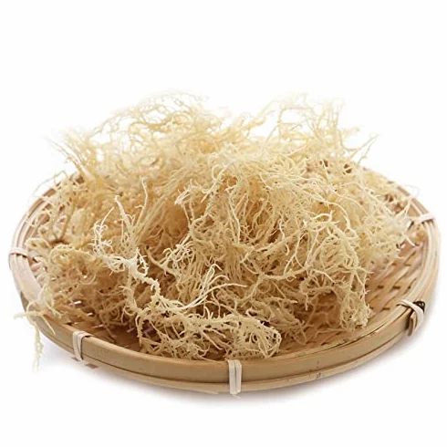 Seamoss, mousse de mer séchée, algues, vente en gros 500g