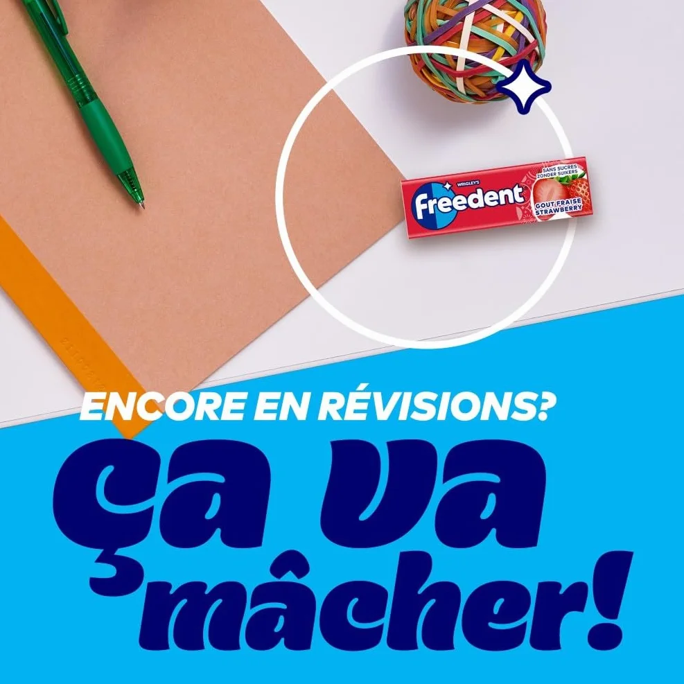 FREEDENT Chewing Gum Sans Sucre Fraise 30 Paquets 300 Dragées 420g