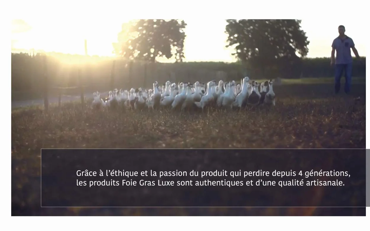 Confit de Canard du Sud-Ouest - 4 cuisses - 100% Landes FRANCE - SANS Conservateurs, SANS additifs, SANS OGM - 3/4 personnes (1.25)
