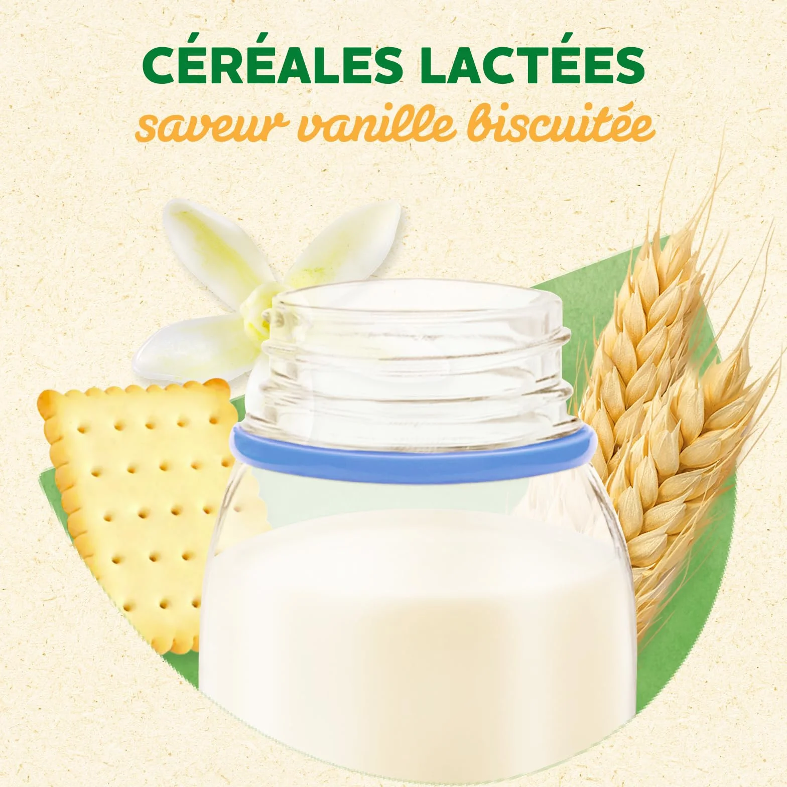 Blédina Blédidej Céréales bébé Biscuité Saveur Vanille Dès 12 Mois Lait bébé petit-déjeuner Calcium Vitamine C Fer Oméga 3 Format Pratique 12x250 mL
