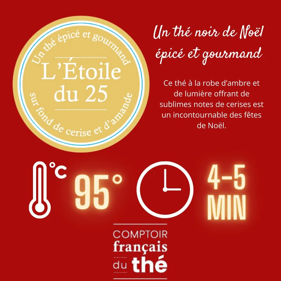 Tisanière rouge + 5x20g de Thés et Infusions de Noël assortis | Cadeau Original pour Noël COMPTOIR FRANÇAIS DU THÉ
