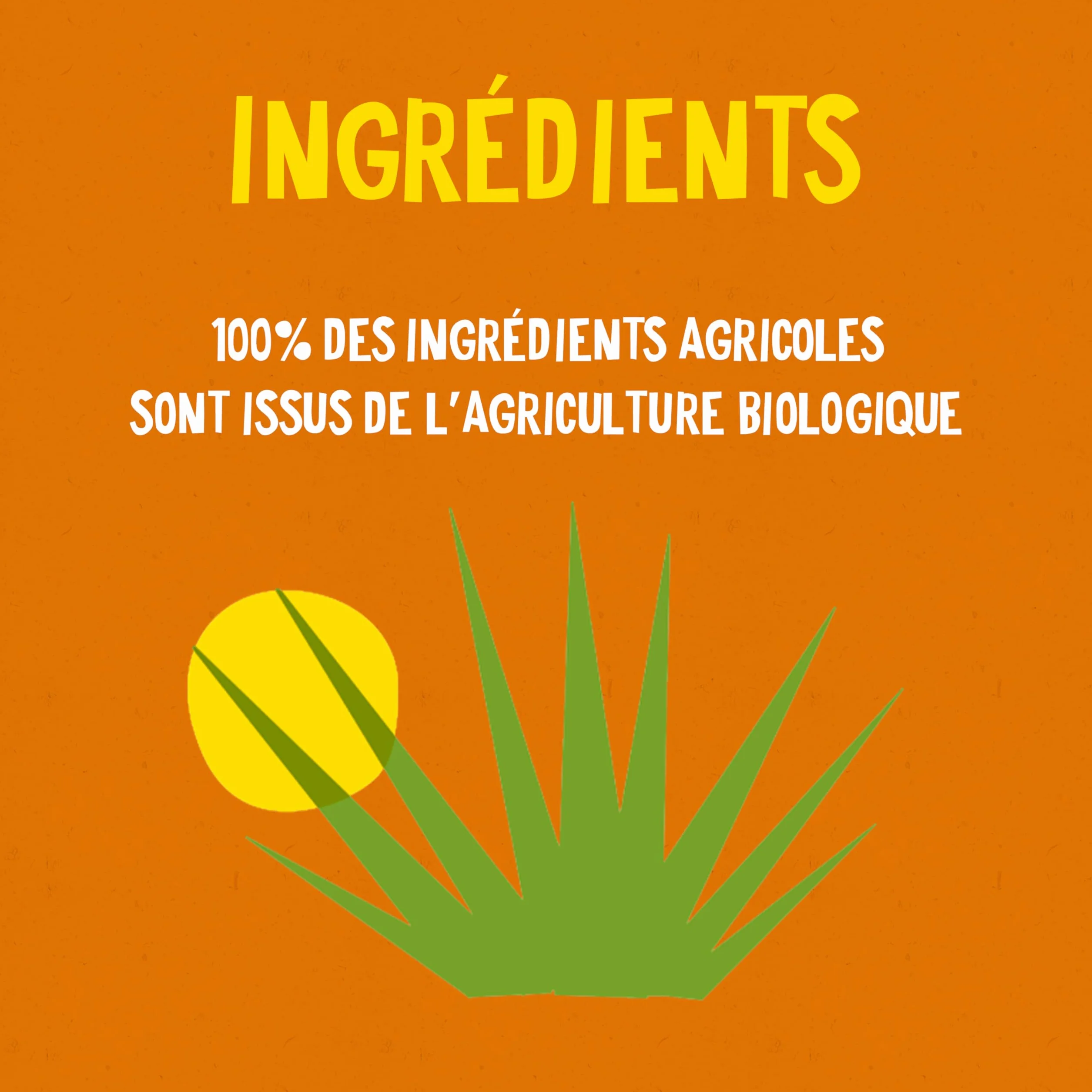 ALTER ECO - Sirop Agave Bio - Sucre d'Origine Naturelle (Fructose) - Non Raffiné - Haut Pouvoir Sucrant - 350 g