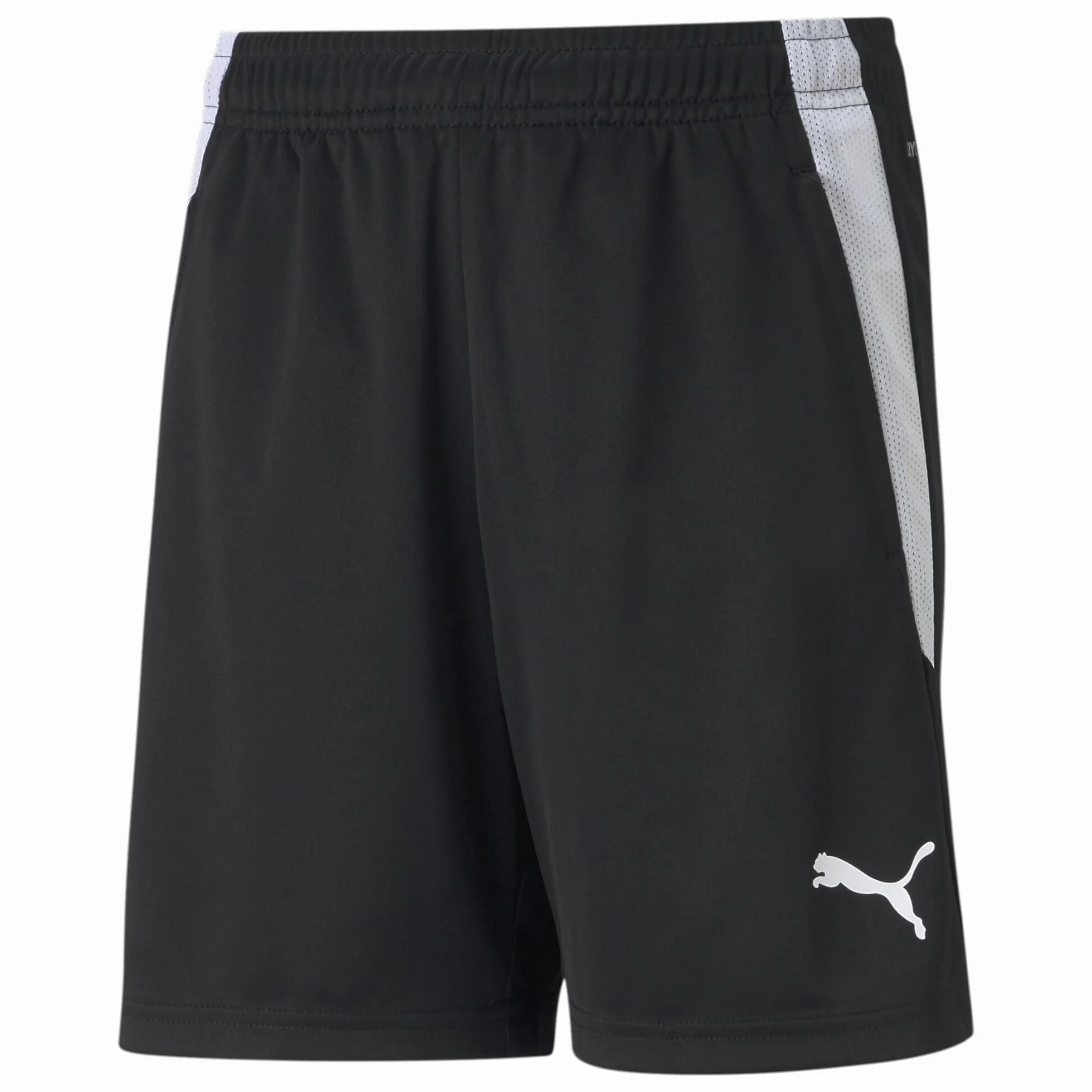 Puma Teamliga Training Shorts Junior - Shorts Tricoté Mixte