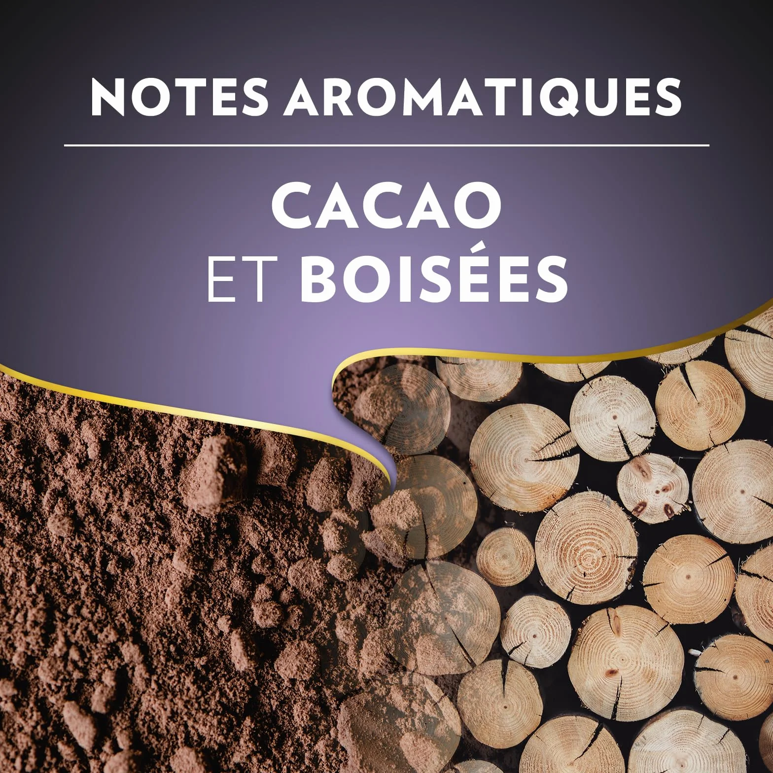 Lavazza, Espresso Barista Intenso, Café en Grains, 1 Kg, Idéal pour les Machines à Café Automatiques, Notes Aromatiques de Cacao et Boisées, Intensité 9/10, Torréfaction Moyenne