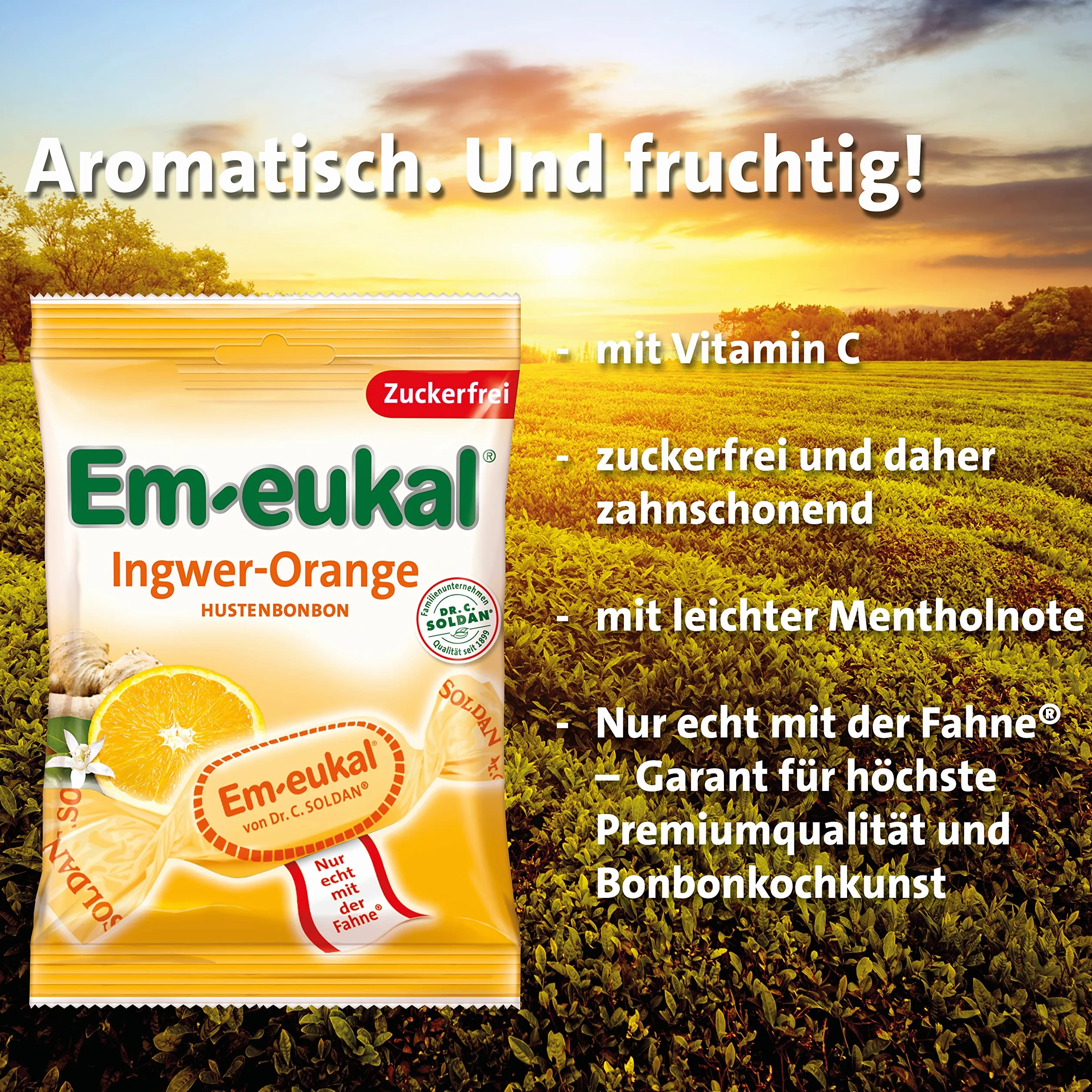 Em-eukal Gingembre-Orange sans sucre 75g, paquet de 10 (10 x 75g)