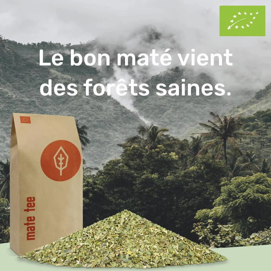 Yerba Maté Bio 1kg ● Feuilles Pures ● Maté Vert Non Fumé ● L’Original ● Sans Tiges ni Poudre ● Cultivé Traditionnellement