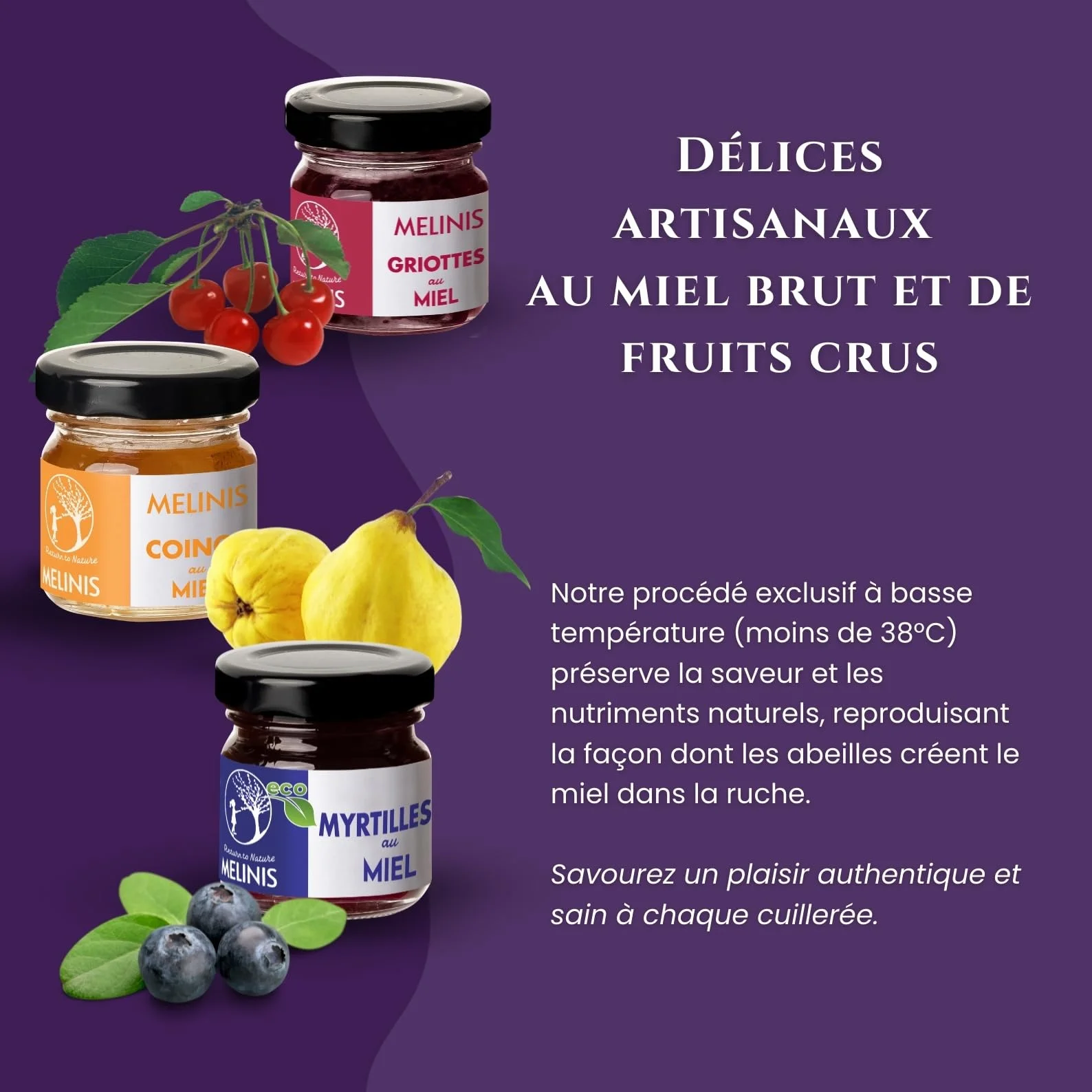 Coffret Dégustation 3 × 40 g – Miel Bio Tartinable aux Myrtilles, Coings Bereczki et Griottes – Sans Sucre Ajouté – Tartinables Naturels pour Petit-Déjeuner, Snacks et Cadeau Gourmet – Melinis