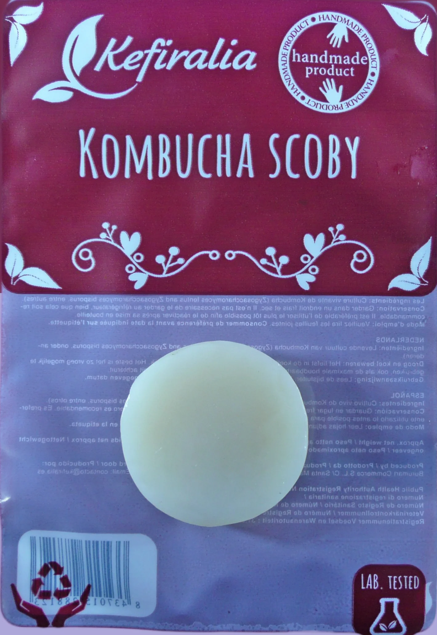 Mère de Kombucha SCOBY Fraîche + Liquide de Démarrage - KEFIRALIA