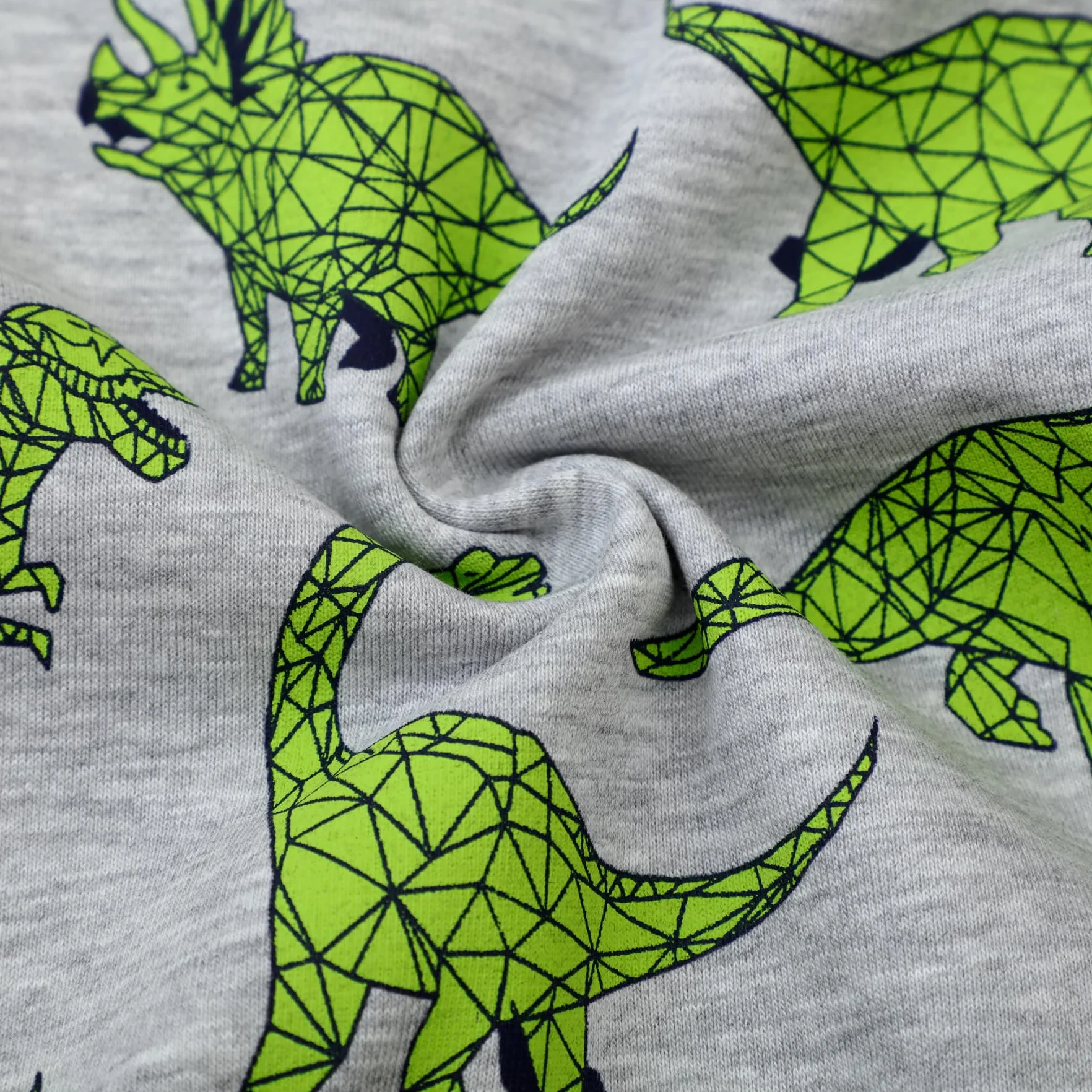 Sweatshirt Garcon Pull Enfant Dinosaure Manches Longues Coton 2-7 Ans