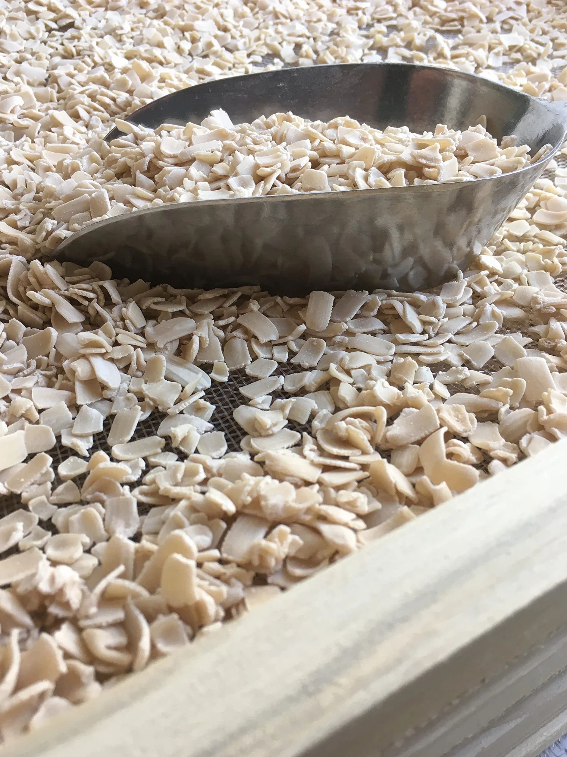 MYLEVAIN Levain Biologique Naturel Français Vivant (Millésime 2009) - Réveil rapide 24H