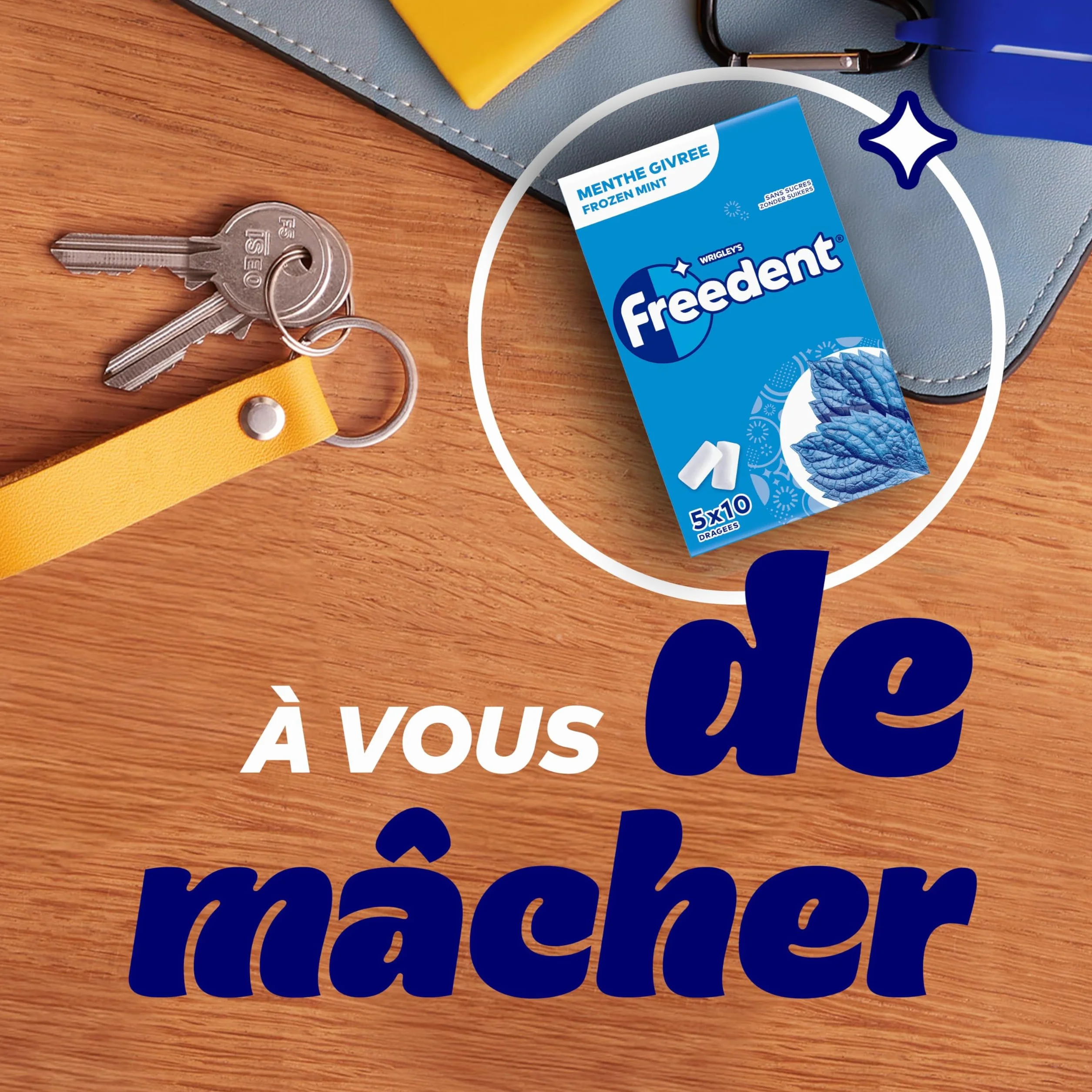FREEDENT Chewing Gum Sans Sucre Goût Menthe Givrée 5 Paquets 70g