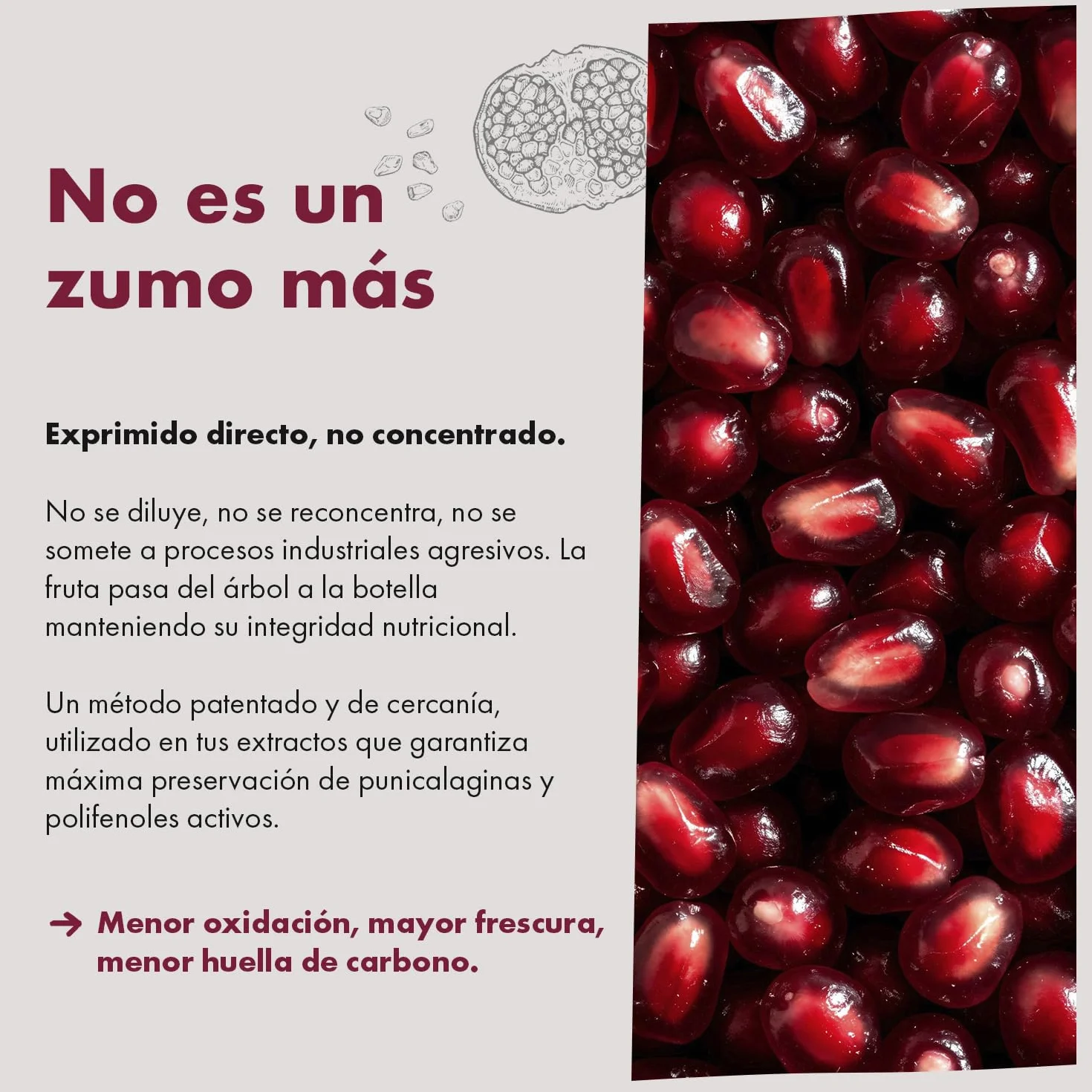 Granatum Plus - Lot de 6 bouteilles de jus de grenade naturel (750 ml), 100 % pressé, riche en polyphénols méditerranéens, sans sucre ajouté, sans colorants ni conservateurs