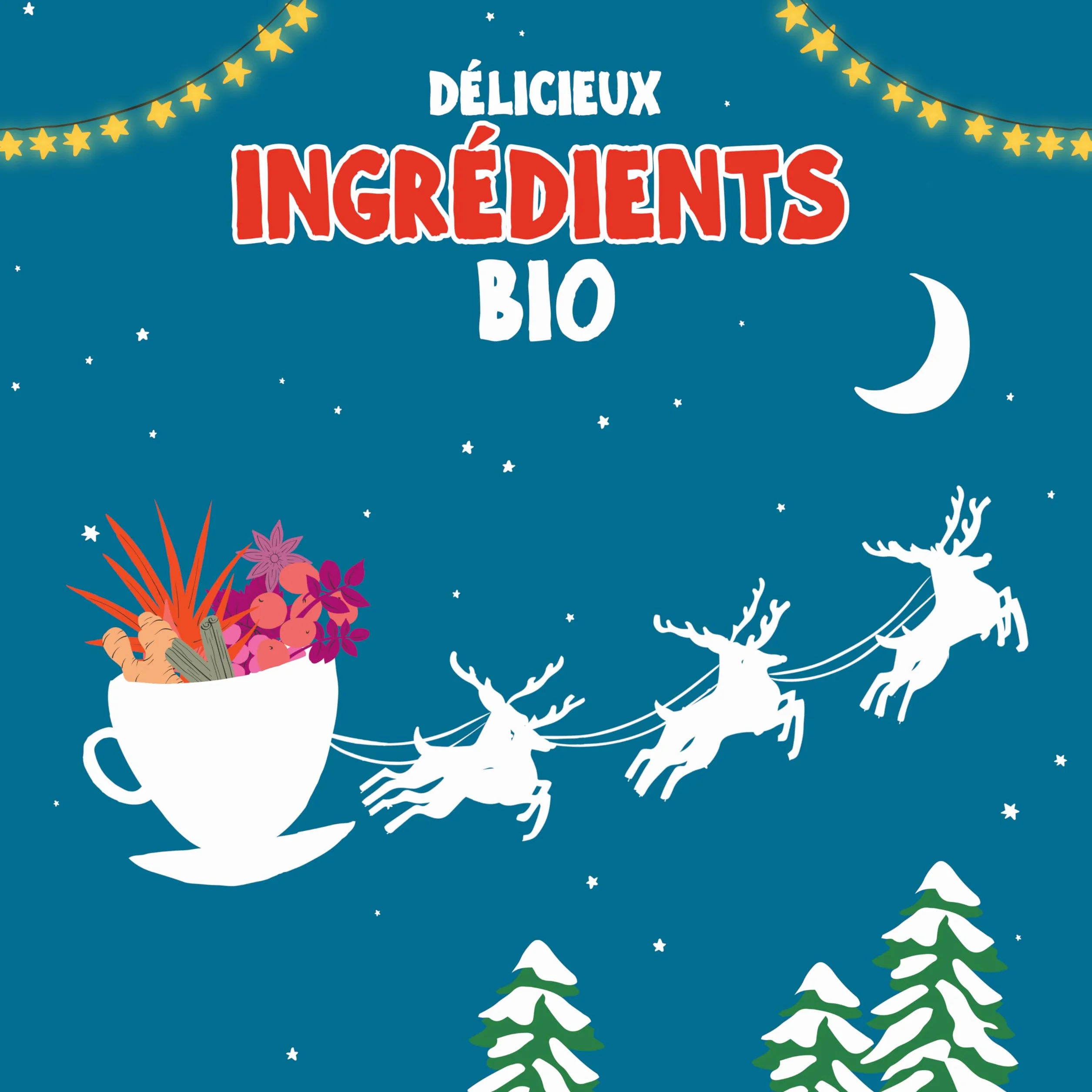 CLIPPER - Calendrier de l'Avent - Thés & Infusions - Bio - 24 sachets | Idée Cadeau Noël - Ingrédients Bio - 100% naturels