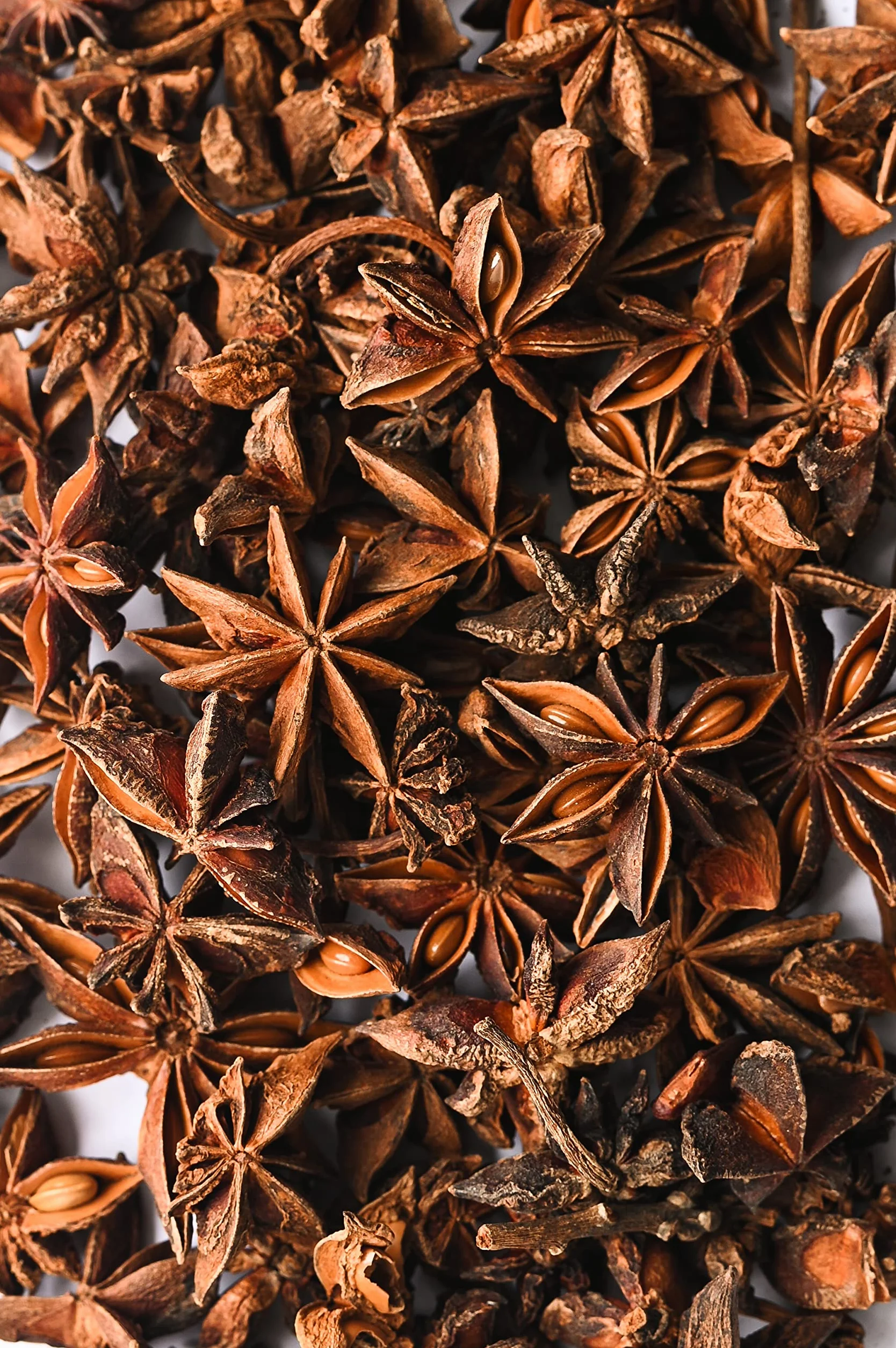 Biojoy BIO-Anis étoilé entière (500 g), thé d'anis, sans additifs (Illicium verum)