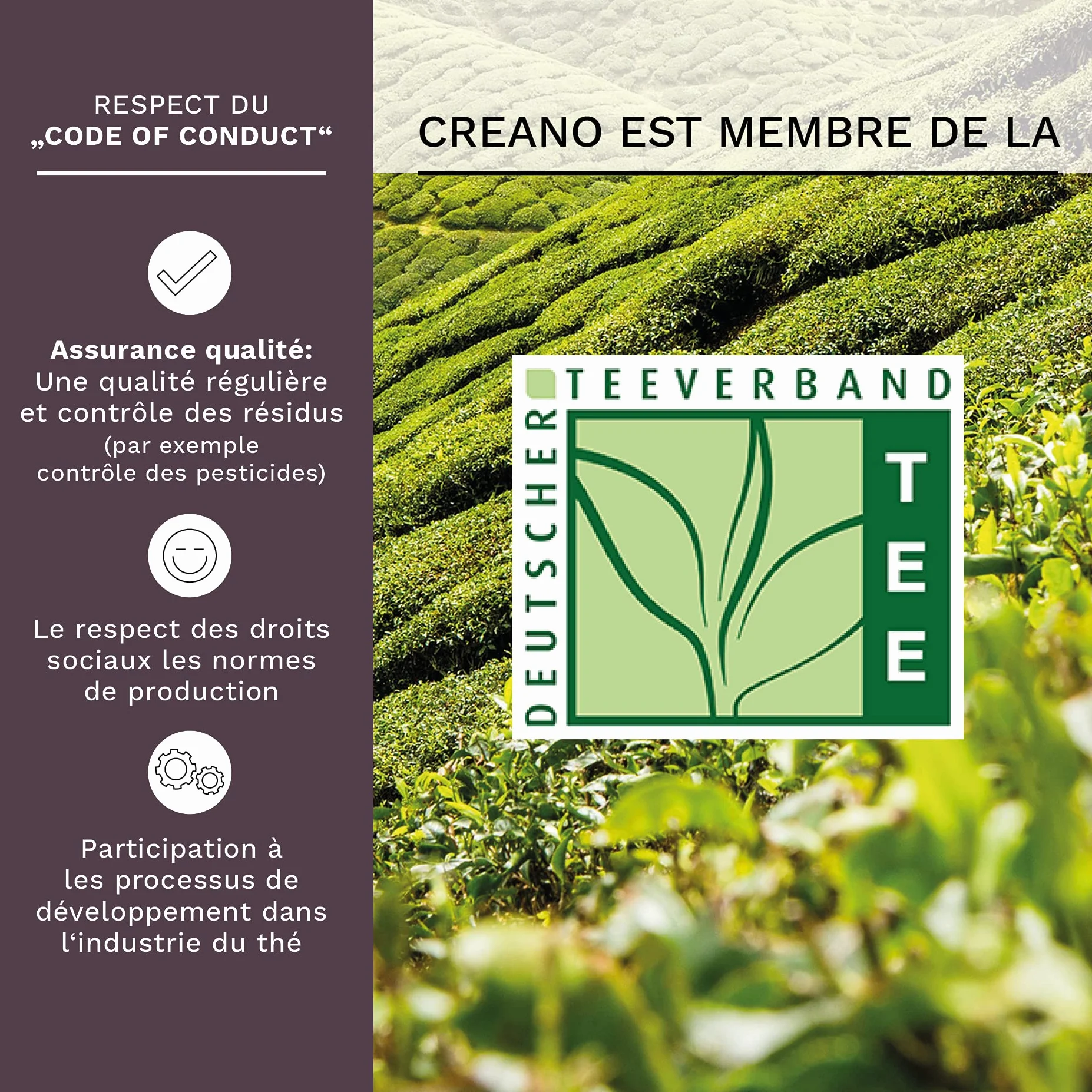 Creano Coffret Cadeau Teelini Noir – 8 Fleurs de Thé Noir en Portion de Tasse avec Tasse en Verre 200ml & Couvercle – Idée Cadeau Anniversaire, Collègue & Détente