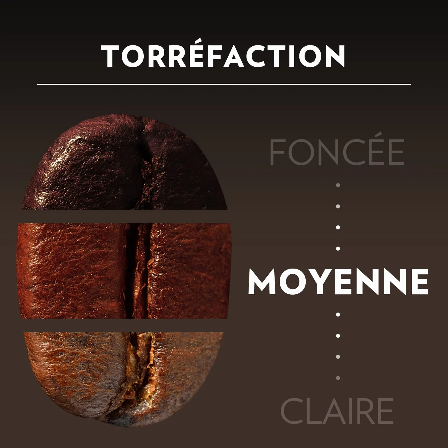 Lavazza, Espresso Maestro, Café En Grains, Avec Notes Aromatiques De Fruits Secs Et De Chocolat, 100% Biologique Et Certifié Rainforest Alliance, Intensité 9/10, Torréfaction Lente Et Douce, 1Kg
