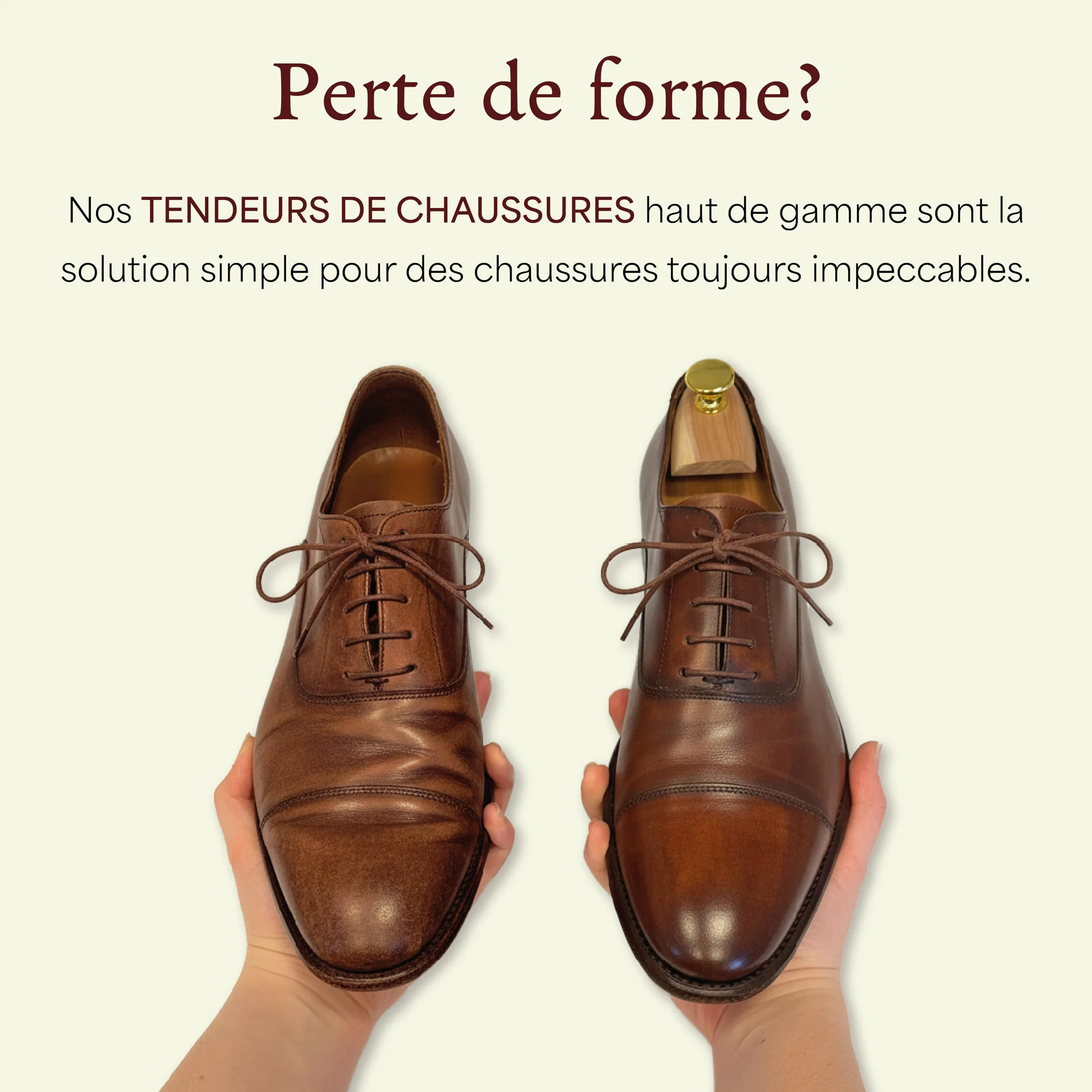 Langer & Messmer embauchoirs en bois de cèdre pour homme et femme, chausse-pied inclus, pointures 34-50, 1/2/5 paires