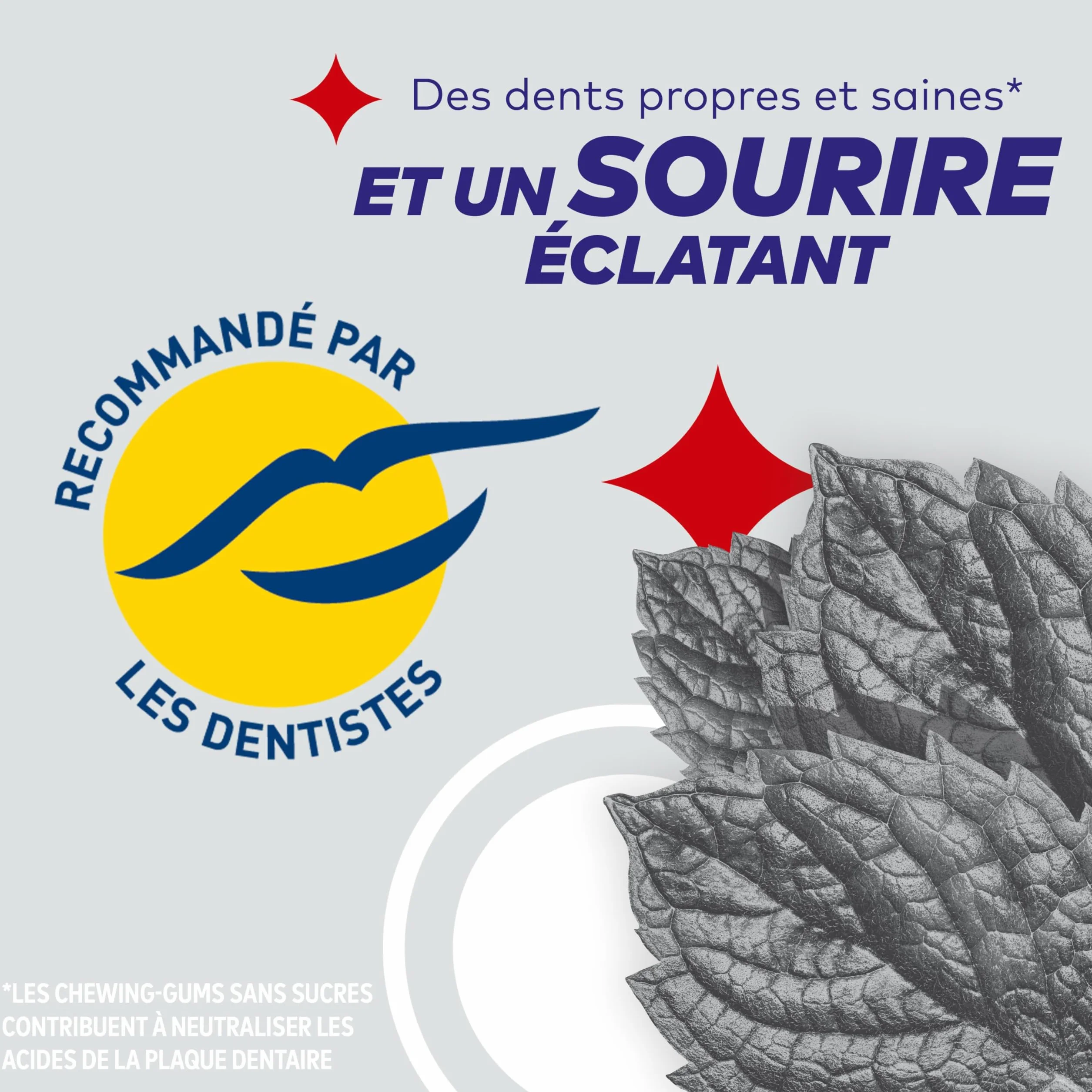 FREEDENT WHITE Chewing-Gum Menthe Forte Sans Sucres 60 dragées 84g