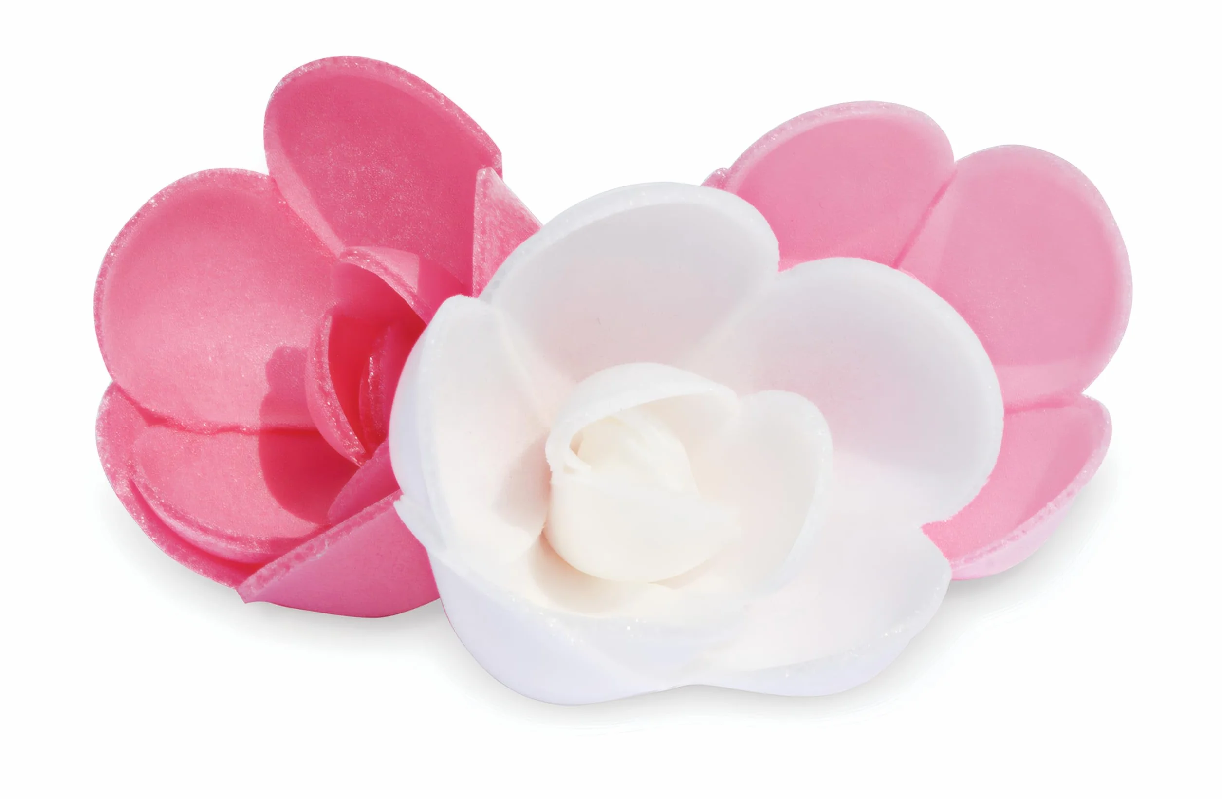 ScrapCooking - 6 Roses en Azyme - Décoration Alimentaire Pâtisserie Gâteau Dessert - Déco Fleurs - Fabriquées en France - 2264