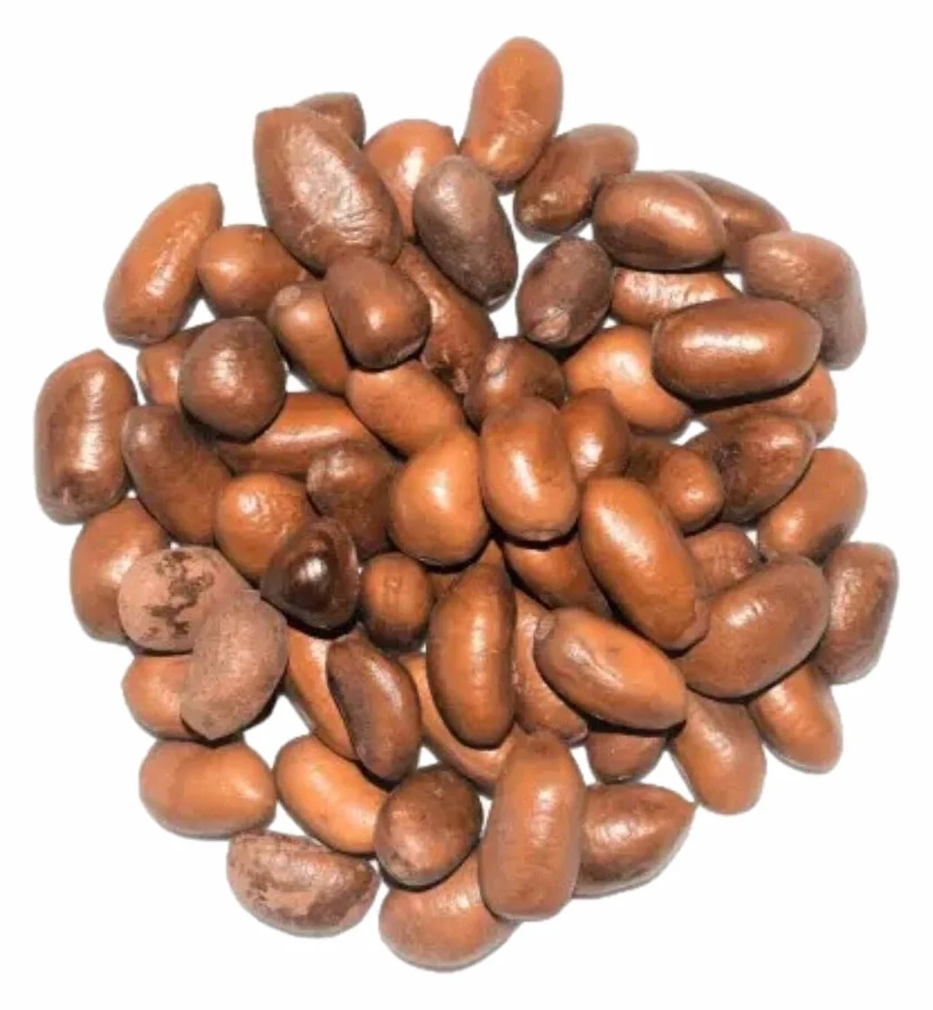 Noix de Pébé/Pépé Entières – 100 g | Noix de Muscade Africaine | Épices Africaines Authentiques