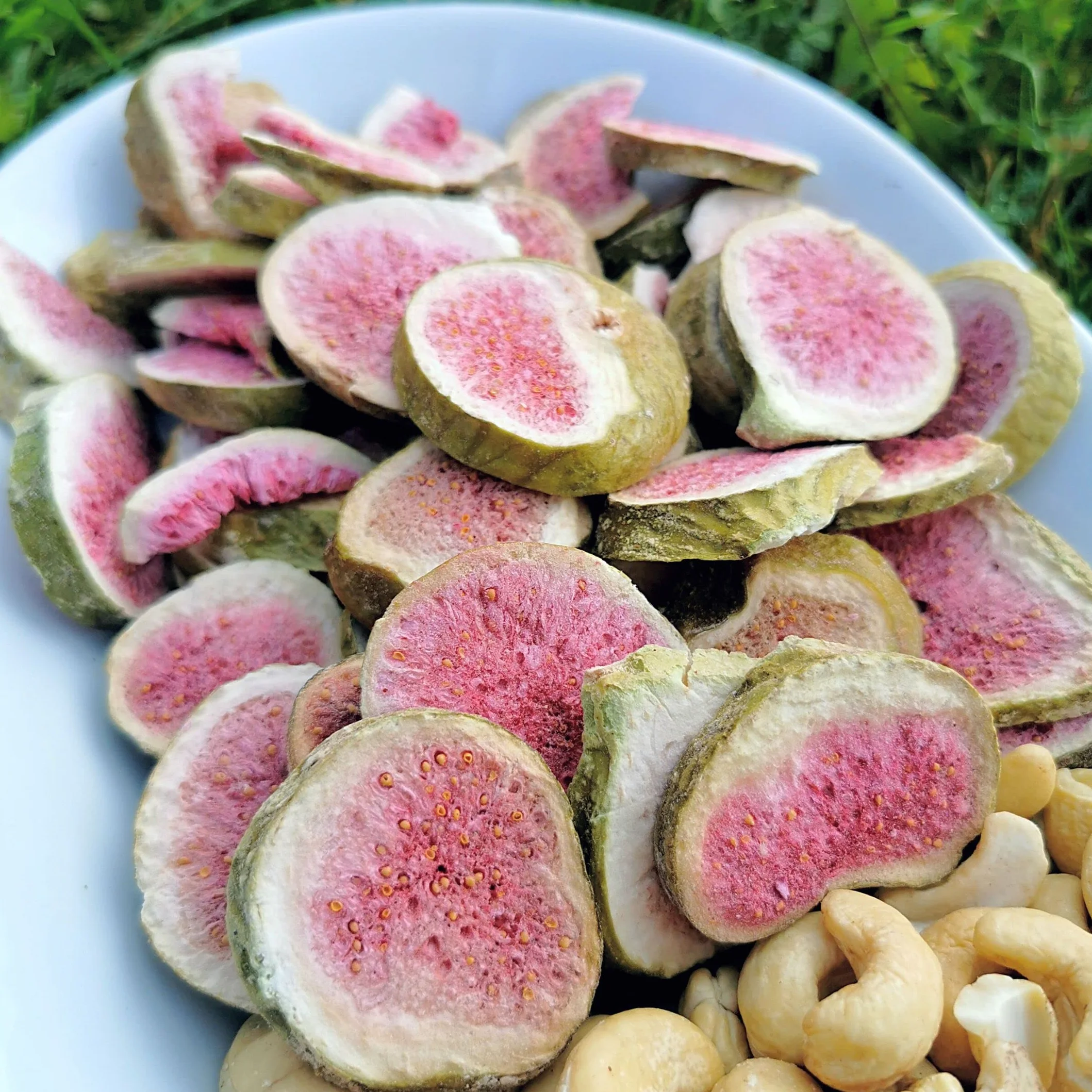 Figue Lyophilisée Sans Sucre Ajouté | 100% Naturel Figues Sèches Fruits Seches | Freeze Dried Fruit Fig Collations Saines | Pure Figue Seche Sec Lyophilisateur | Gefriergetrocknete Feige ZingyZoo