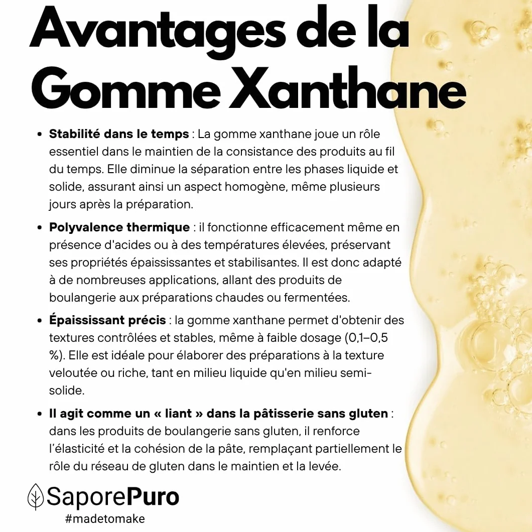 Saporepuro Xanthane en poudre 1 kg - Idéal pour la crème glacée, les sauces, mixologie, cuisine moléculaire, les nappages et les sorbets - 100% pur