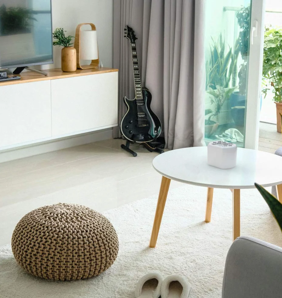 Wessper 2x Déshumidificateur d'air pour la Maison, absorbeur d'humidité et Anti odeurs pour pièces de 20 m², Incl. 2X Sachet de 250g