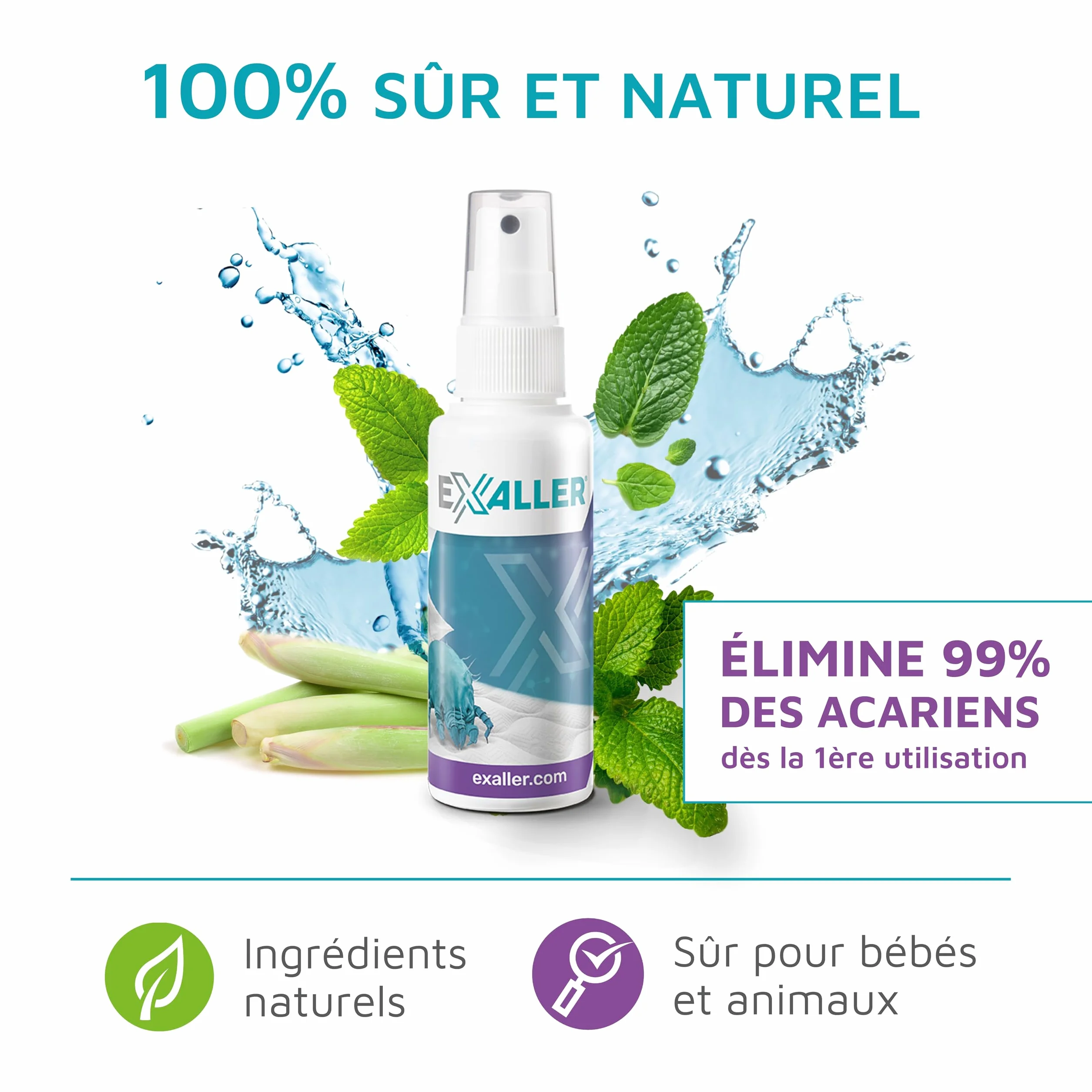 Spray Anti-Acariens 150 ml – Élimine 99% des acariens – 8 mois d'utilisation – Testé en laboratoire – Naturel & sans produits chimiques – Recommandé par les allergologues