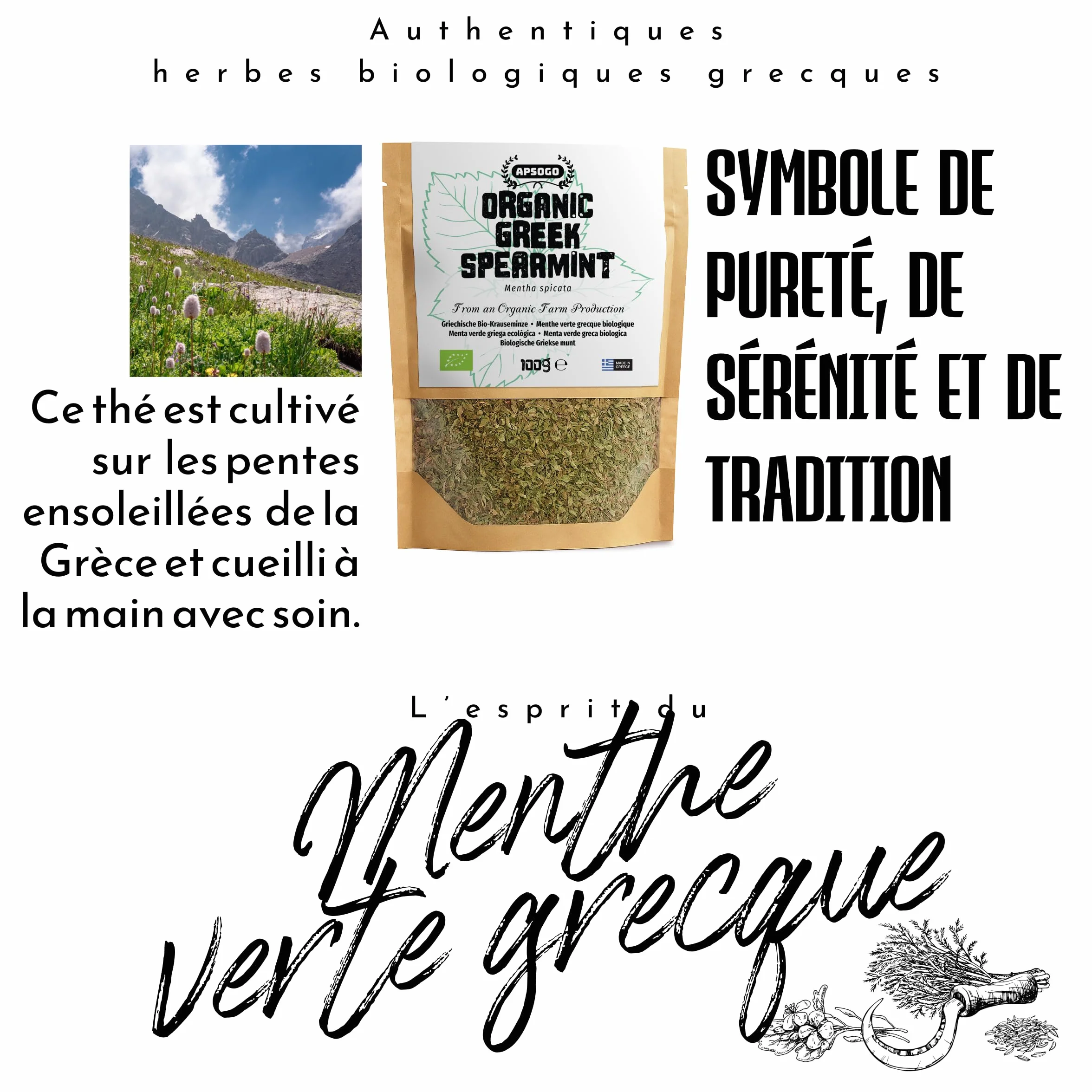 Menthe verte biologique séchée de Grèce Apsogo Spearmint