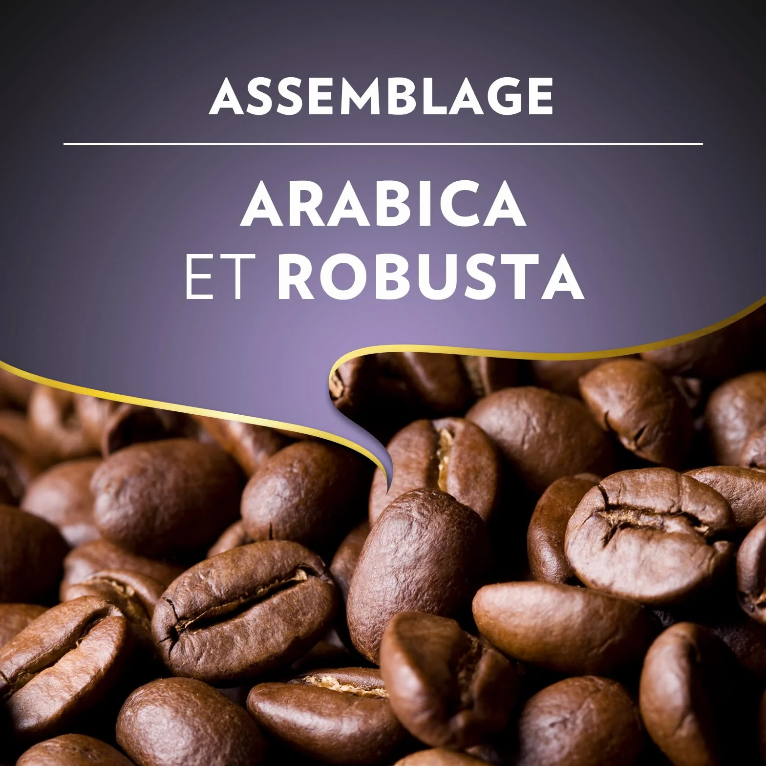 Lavazza, Espresso Barista Intenso, Café en Grains, 1 Kg, Idéal pour les Machines à Café Automatiques, Notes Aromatiques de Cacao et Boisées, Intensité 9/10, Torréfaction Moyenne