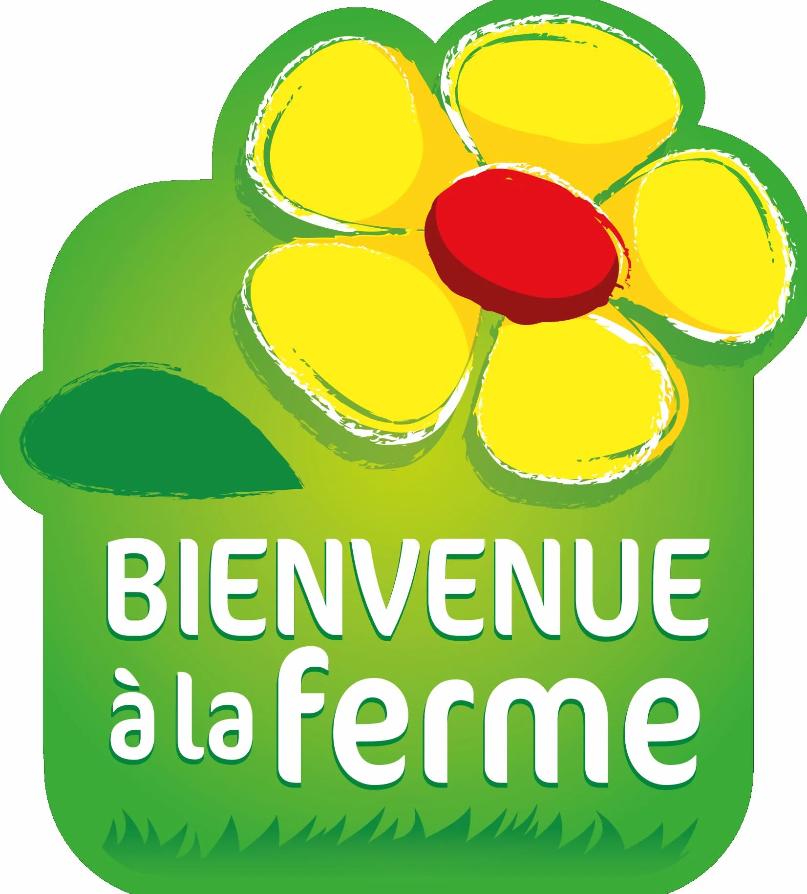Miel Bio de Normandie (1 Kg), Délicieusement crémeux et récolté à froid | origine France | certifié BIOLOGIQUE | Naturel | Non chauffé | Non Pasteurisé | La Mare aux Abeilles.