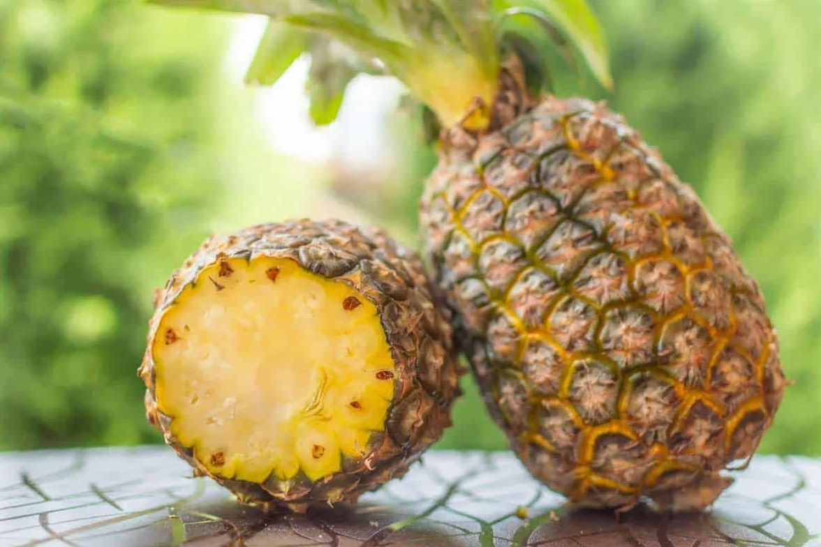 Ananas en morceaux avec eau de coco 1190 g.