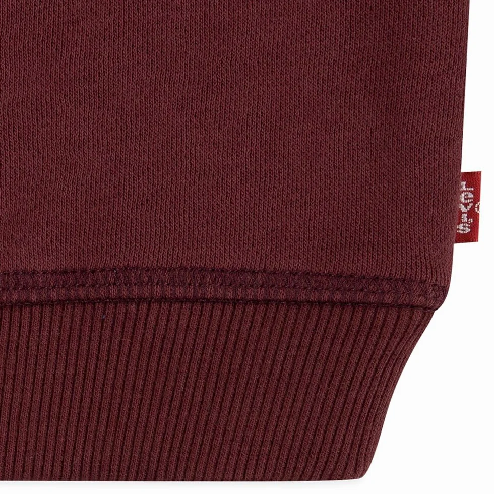 Levi's Long Sleeve Batwing Tee for Boys