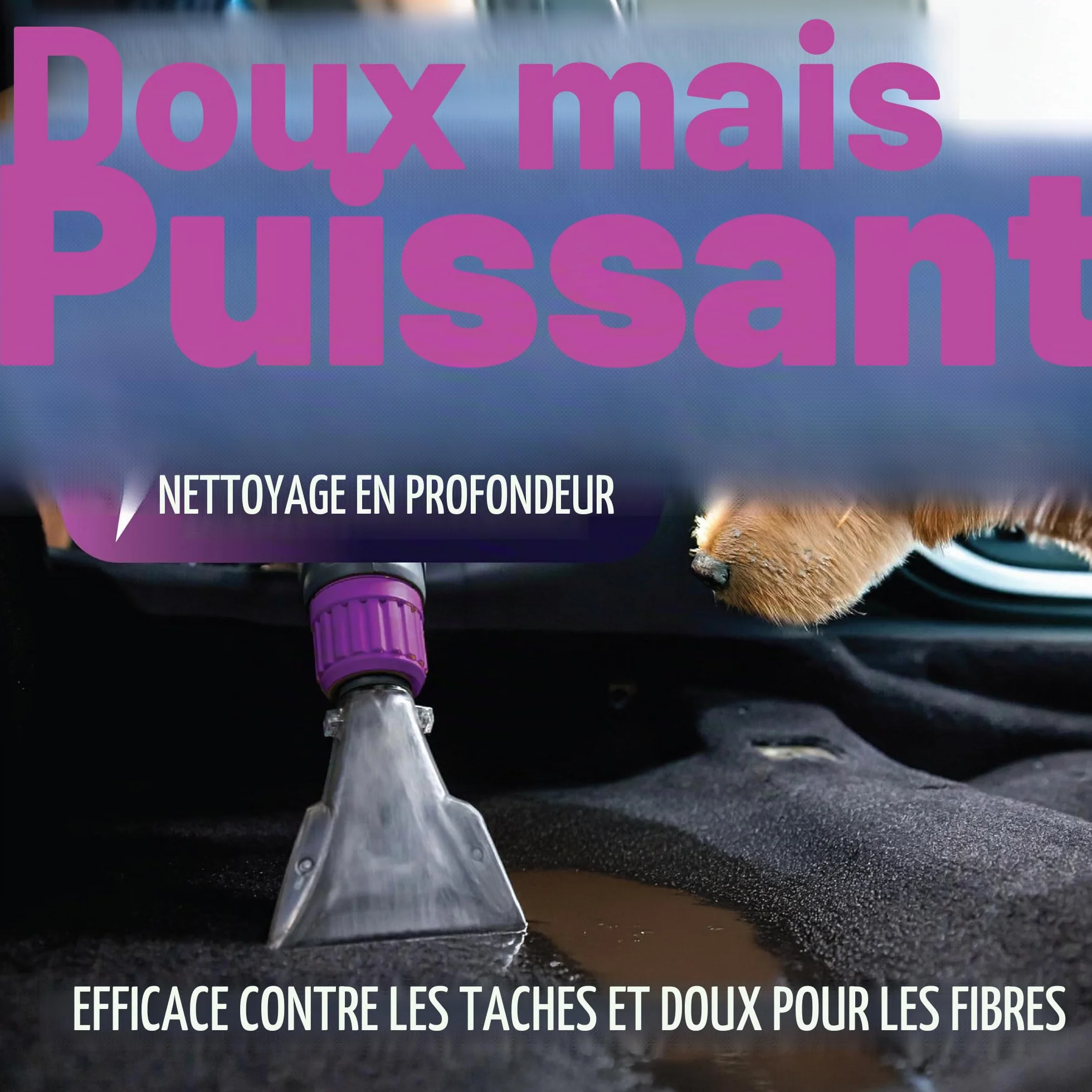 Dirtbusters Solution shampooing nettoyage tapis tissus voiture 5 litre | Habillage intérieur de voiture, Pour machines à tapis moquette