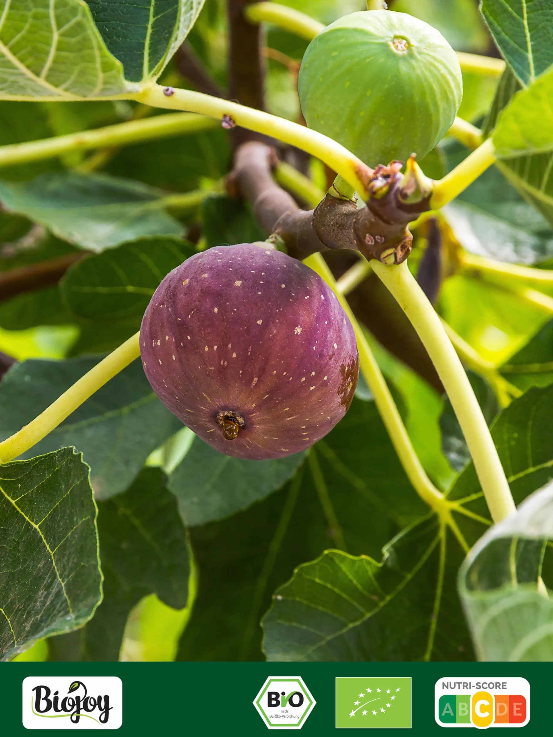 Biojoy Figues séchées BIO (1 kg), entières et non-soufrées