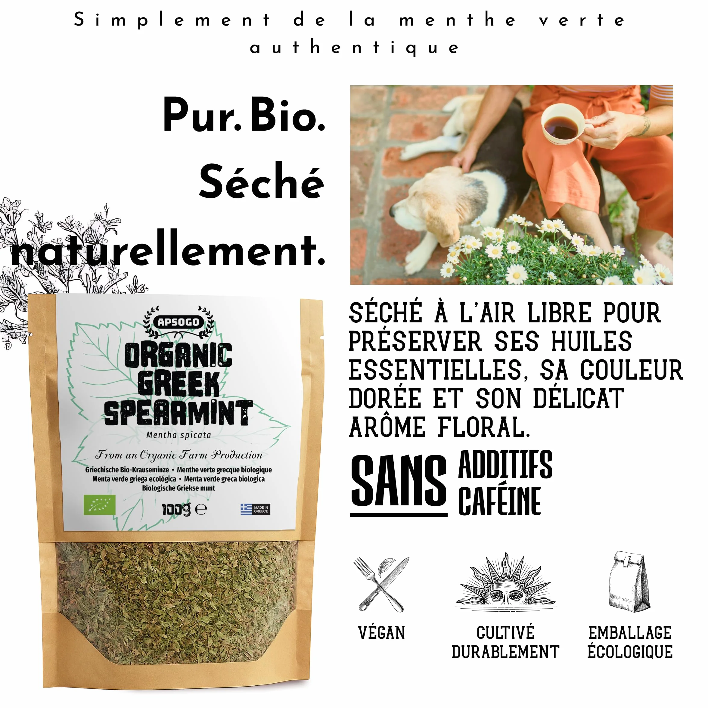Menthe verte biologique séchée de Grèce Apsogo Spearmint