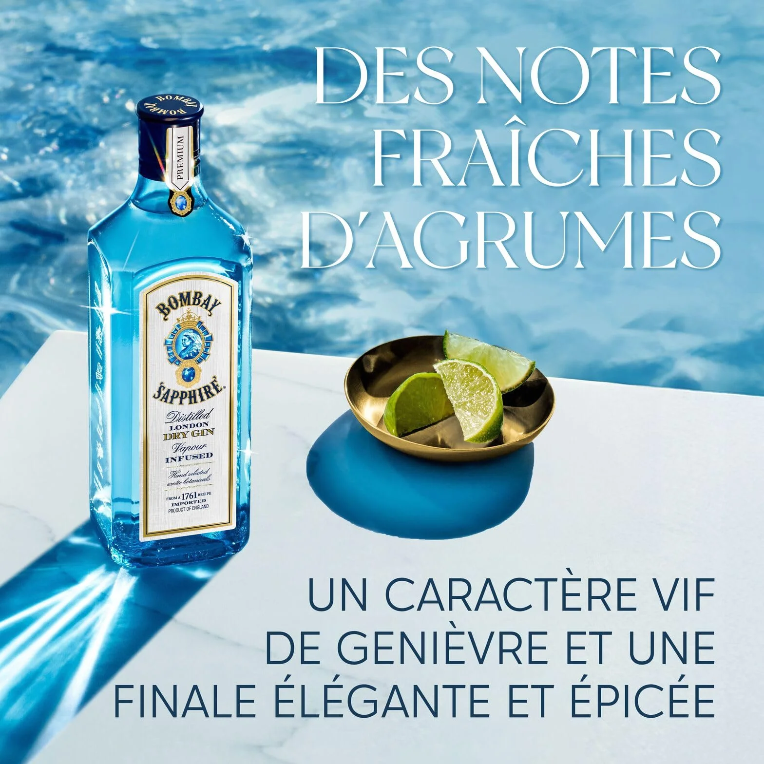 Bombay Sapphire London Dry Gin, 40 % vol., 70 cl / 700 ml, Un Spiritueux Infusé à la Vapeur, Élaboré à Partir de 10 Plantes Aromatiques Rigoureusement Sélectionnées à la Main