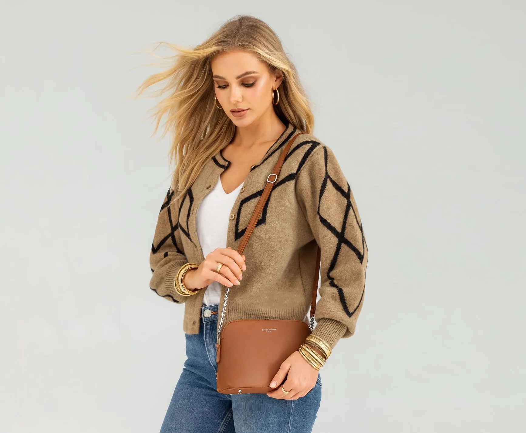 David Jones Sac à Main Femme Cuir PU Rigide Chaîne Argentée