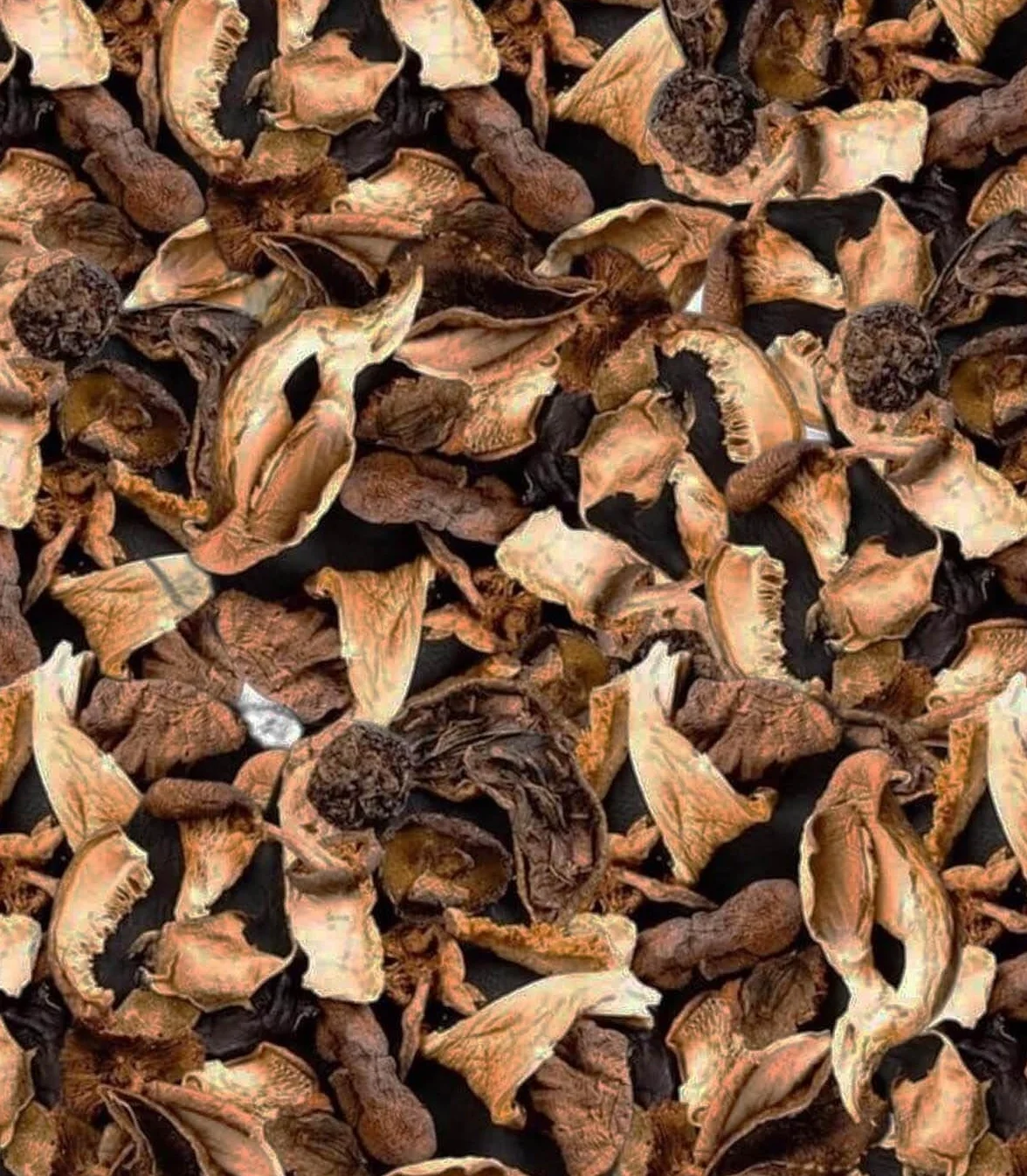 Bolets et Cèpes Séchés Pot 500g - Sabarot