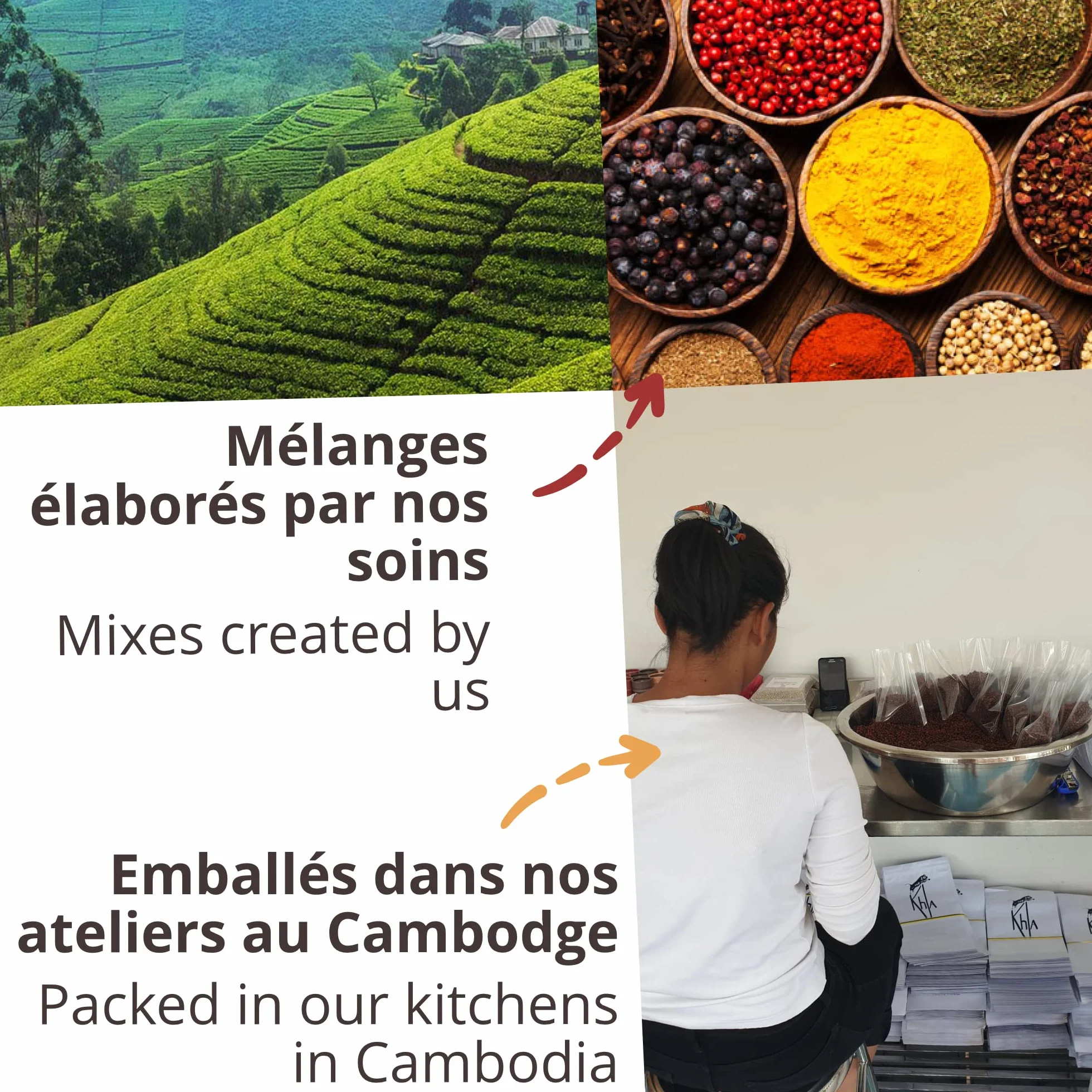 Khla - Coffret 4 Currys Bio - Curry Jaune, Curry Noir, Curry Rouge & Curry Vert Détox - Tubes Poudre 4x 100 g - Coffret Idée Cadeau - Mélanges Exclusifs Cuisine - Épice d’Asie - Origine Cambodge