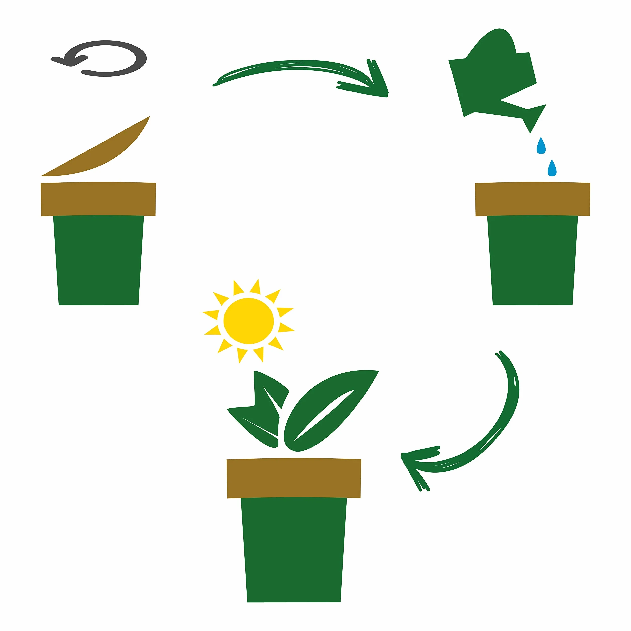 Feel Green Ecocup, Houblon, Idée Cadeau (100% Ecologique), Grow-Your-Own/Kit Prêt-à-Pousser, Plantes Dans Coffee Cup 10 x 8 cm, Produit En Autriche