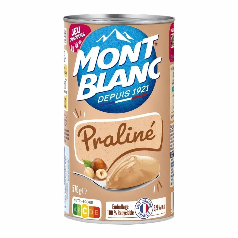 MONT BLANC - Crème Dessert Au Praliné 570G - Lot De 4