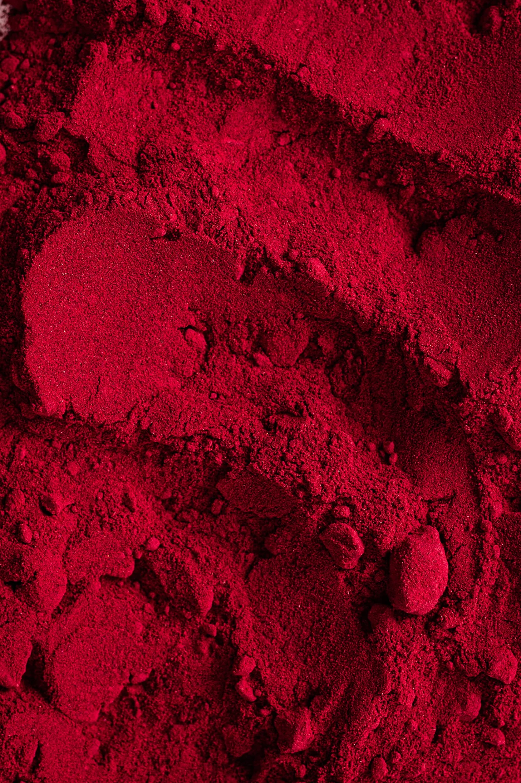 Biojoy Poudre de betterave rouge BIO (500 g), naturelle et pure (Beta vulgaris)