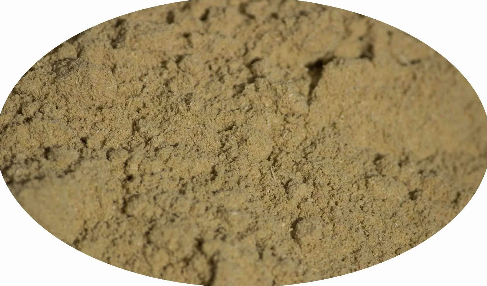 Eder Gewürze - Fenouil moulu - 1kg