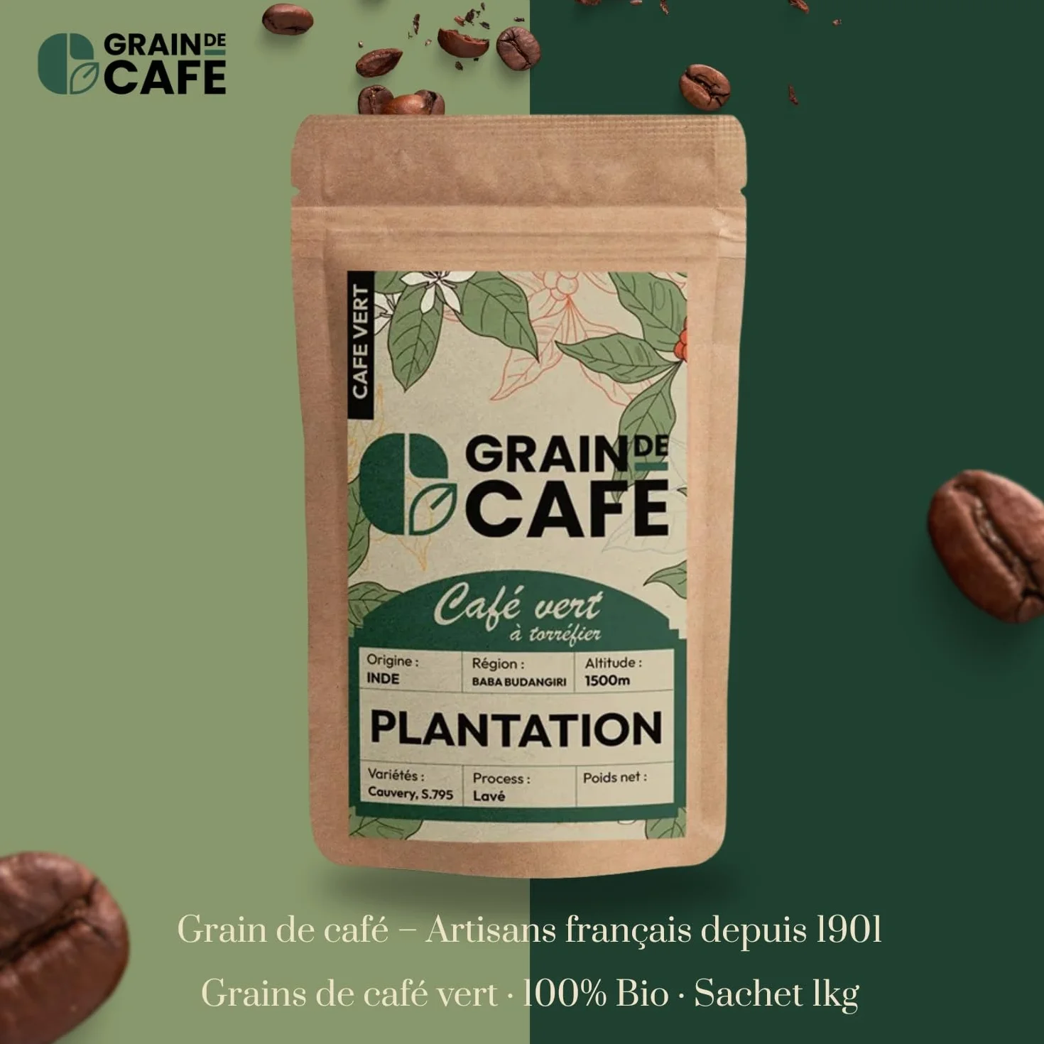 Graindecafé – Café Vert Inde Plantation 1kg | 100% Arabica Non Torréfié | Doux Et Épicé Des Ghâts Occidentaux | Notes De Miel Et Cannelle | Idéal Machine À Grain Une Fois Torréfié