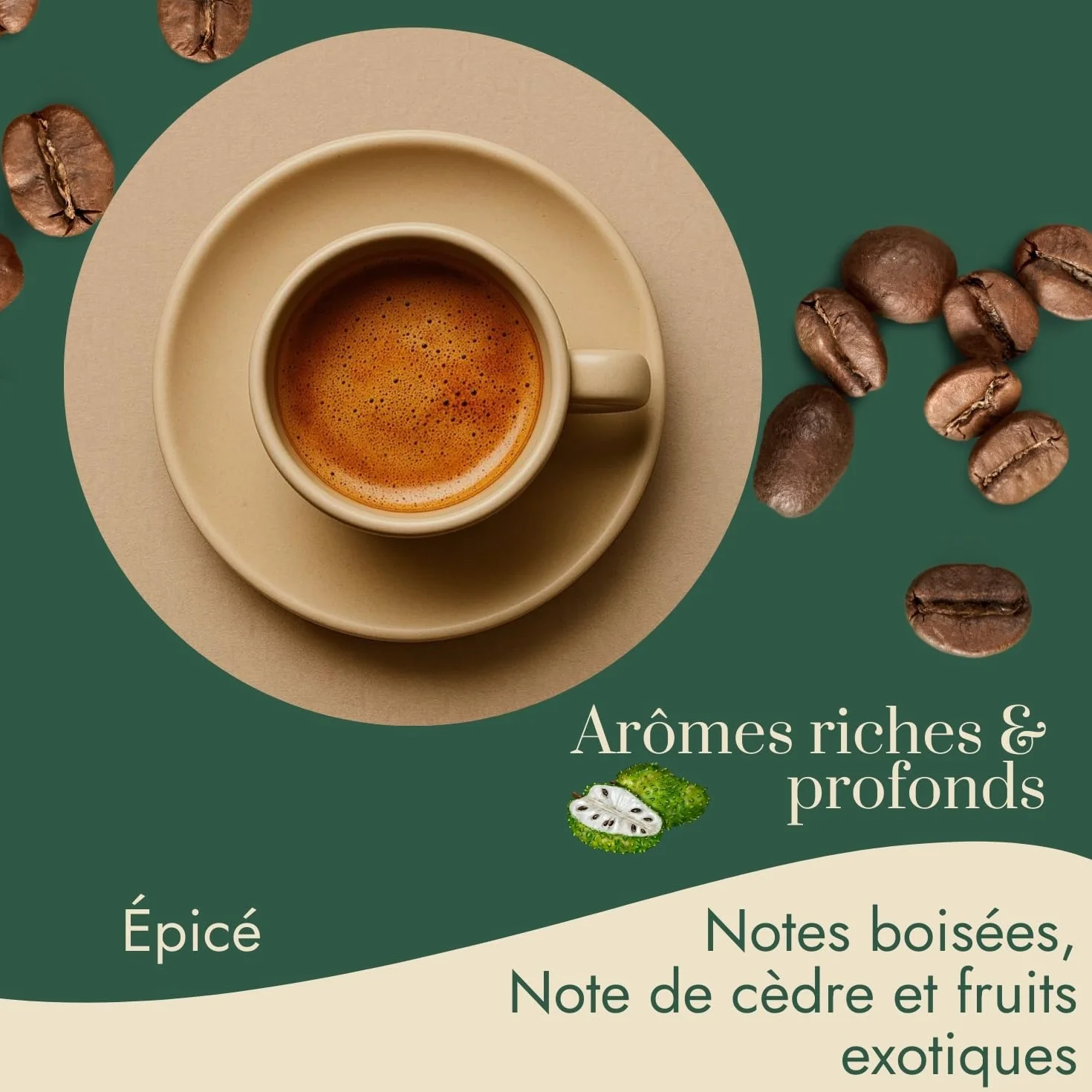 Café Vert en Grain Indonésie Java Jampit 1kg | 100% Arabica Non Torréfié | Café Brut à Torréfier Maison | Arômes Cèdre, Tabac, Épices | Idéal Machine à Cafe Grain