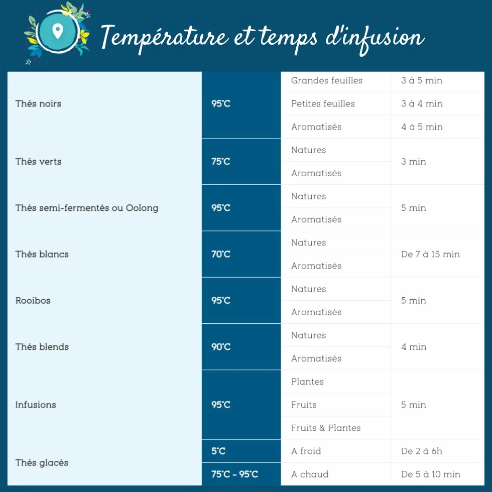 2x100g d'Infusion Orange Agrumes - Folie D'Agrumes COMPTOIR FRANÇAIS DU THÉ | Arômes d'orange et d'agrumes - Délicieuse chaude ou glacée - Infusion en vrac, sachet zip refermable - coffret thé à offrir